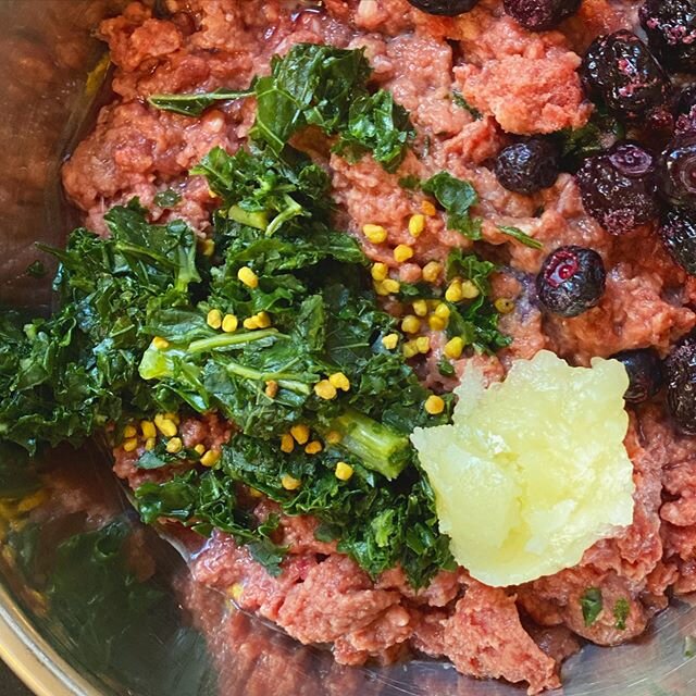 Bowl shots make us happy😁make sure to share your bowl shots with us, we love to see all your healthy creations🌿 .

Check out what&rsquo;s in the bowl👇🏽. .
-smallbatch beef blend
-organic kale
-organic blueberries
-local PNW bee pollen
-homemade g