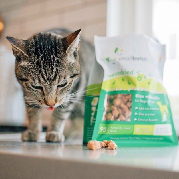 The sound of a freeze dried smallbites bag will cause: purring, meowing, jumping on all counters/surfaces, lots of awesome feline action! .
.
Can&rsquo;t find your cat? Open and shake a bag and you&rsquo;re sure to find em&rsquo;!😻