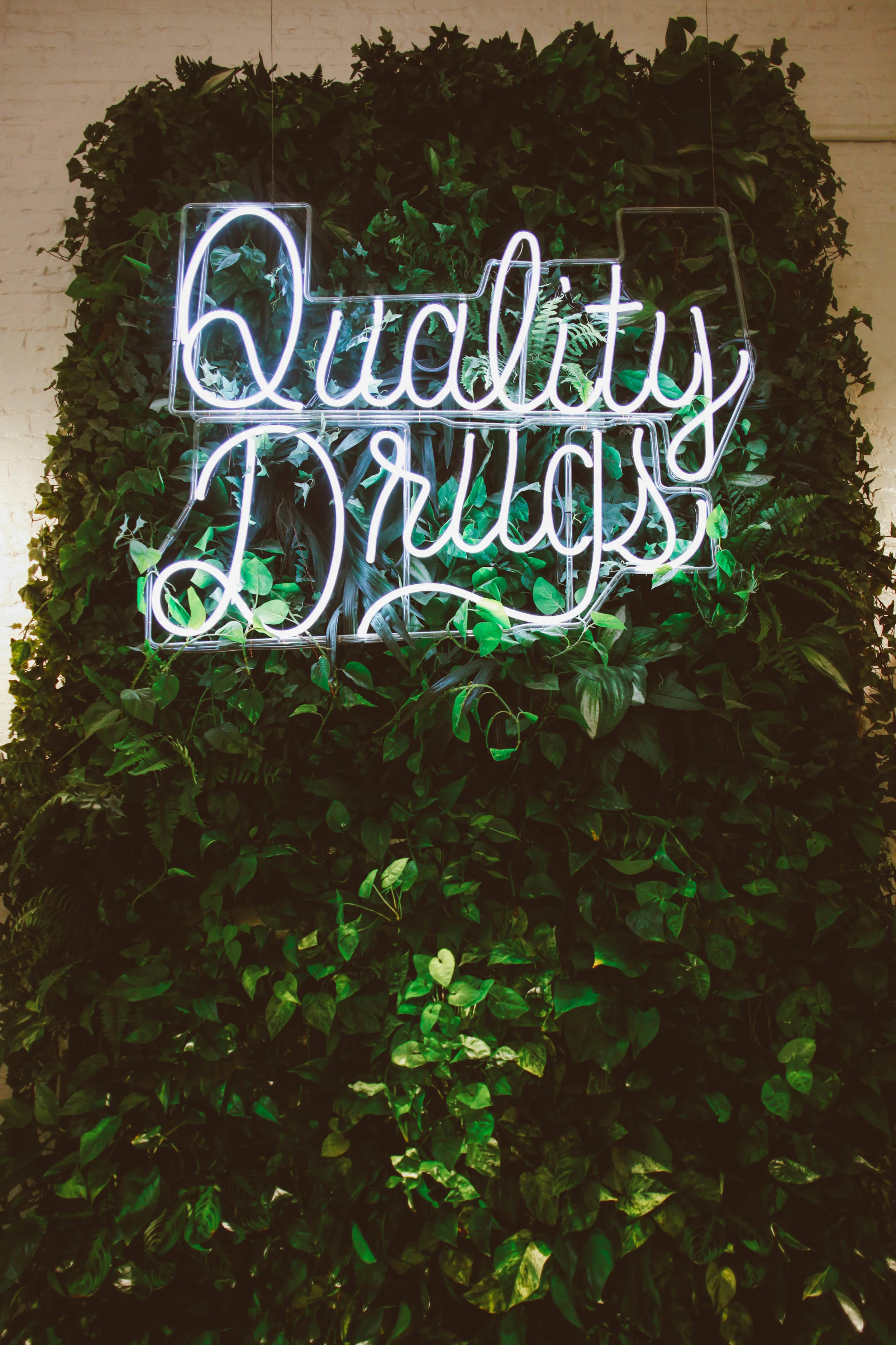 Branding Win | Serra