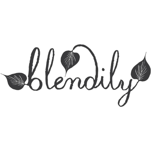 Blendily (Copy)