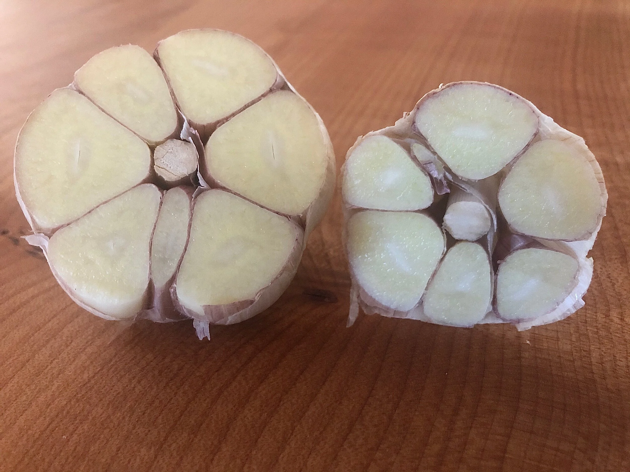 73726CAD-F220-4E47-AD3D-0FB46D9A6828