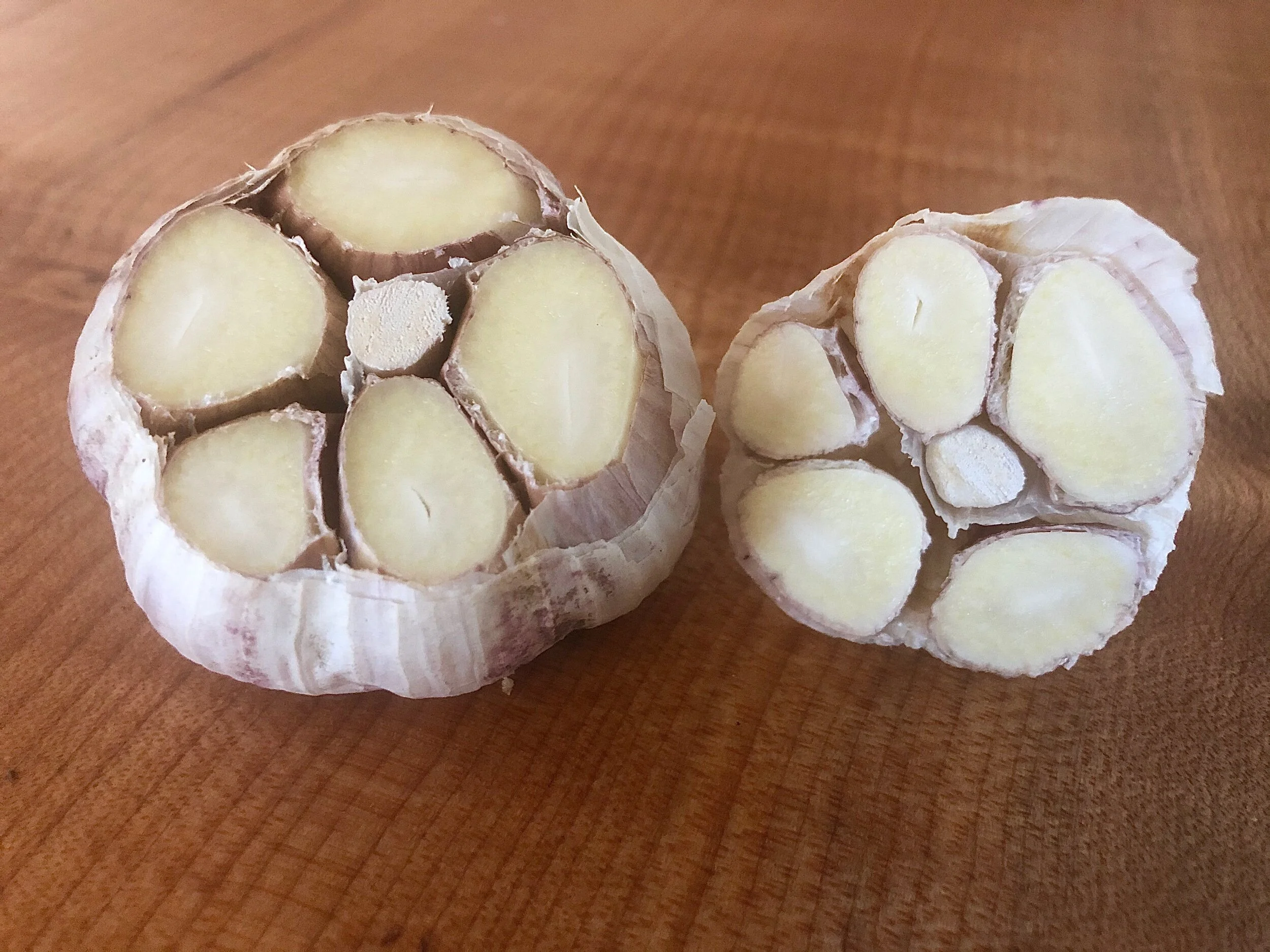 0C91E65B-B0E9-49E1-BEF3-62CF93D0DA46