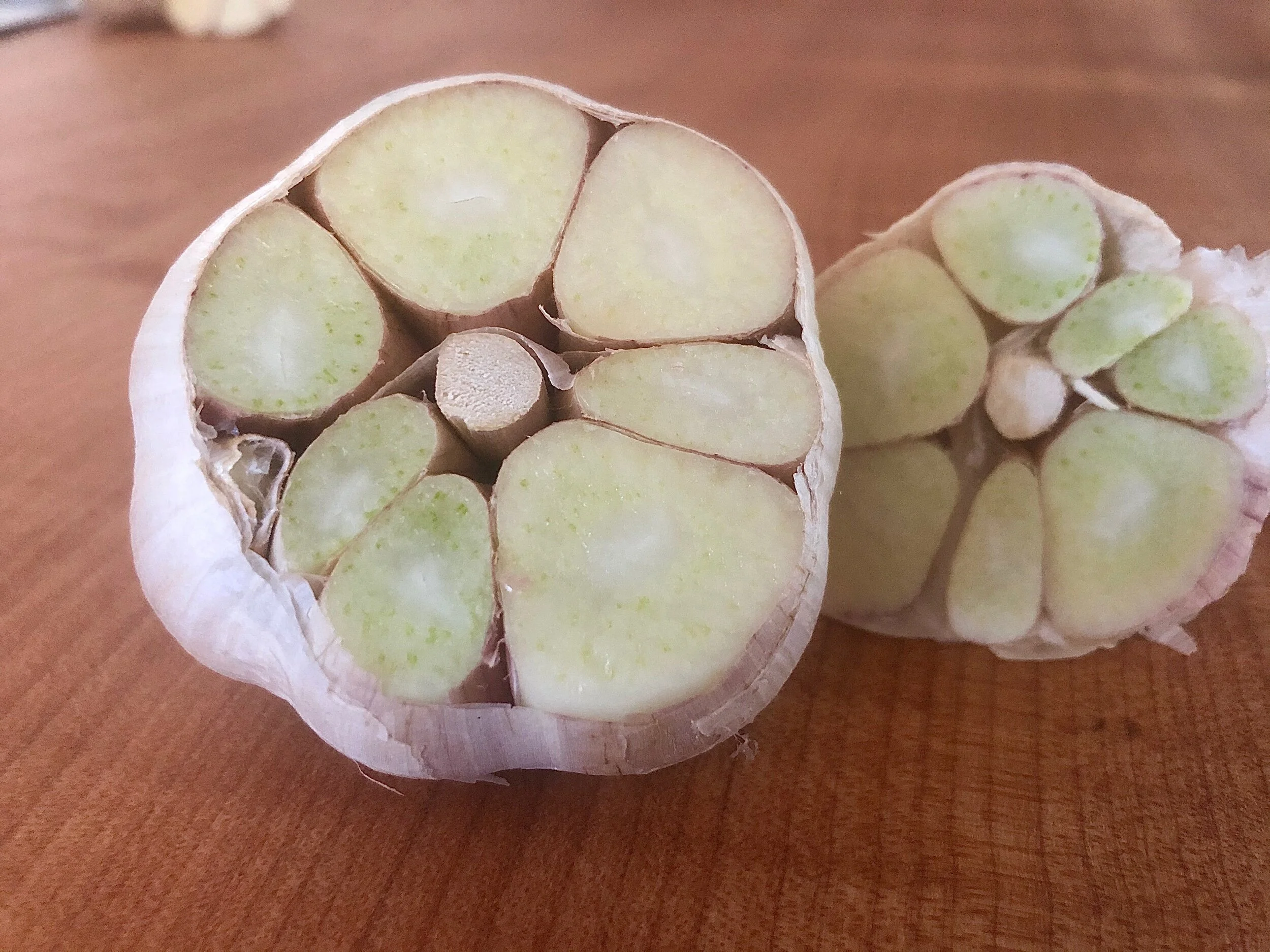 5769E219-02B9-4CEE-86AB-F2B746E55C3C