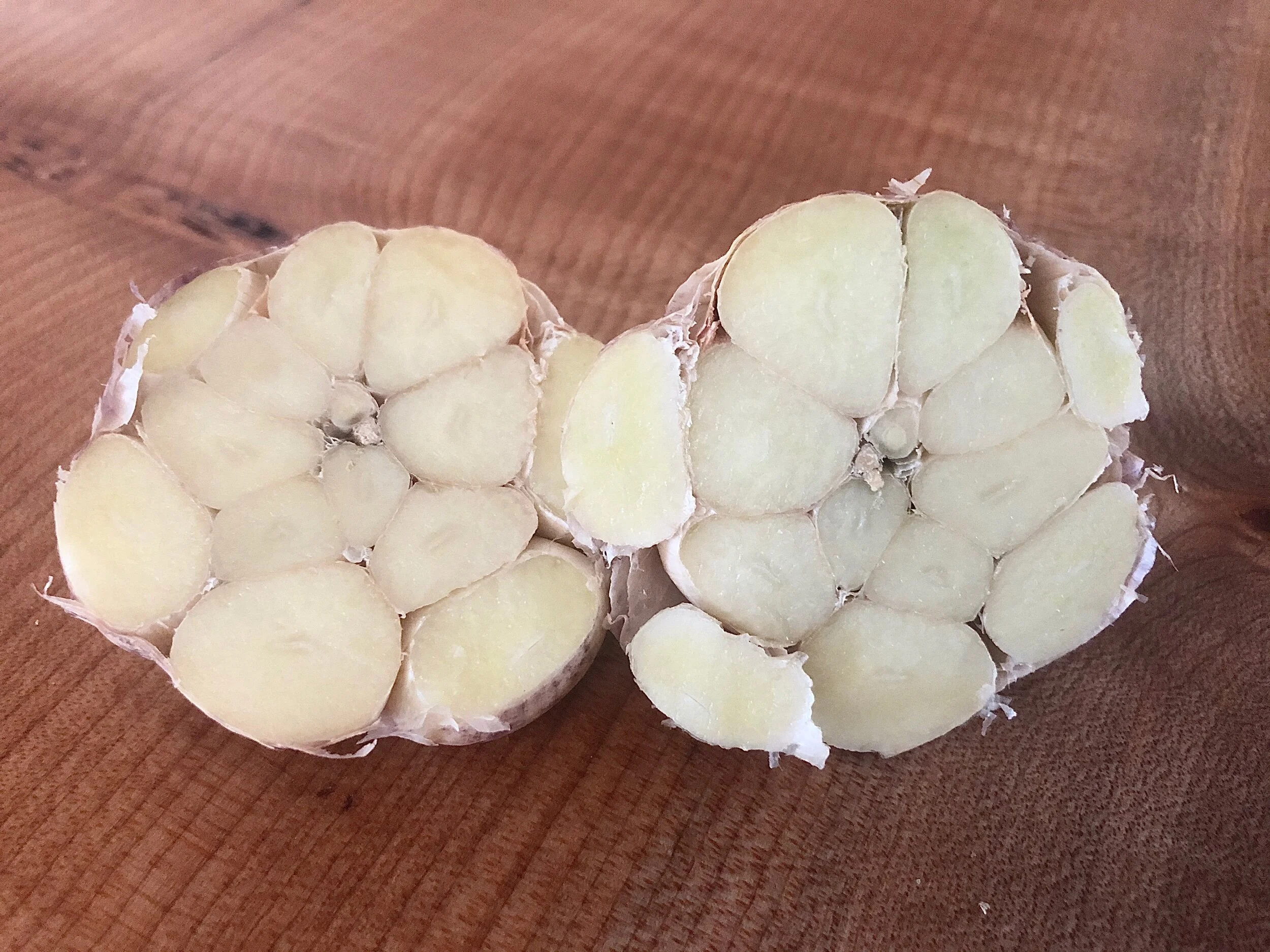 692F0117-A34E-4399-BE3C-B91DD78B8B3B