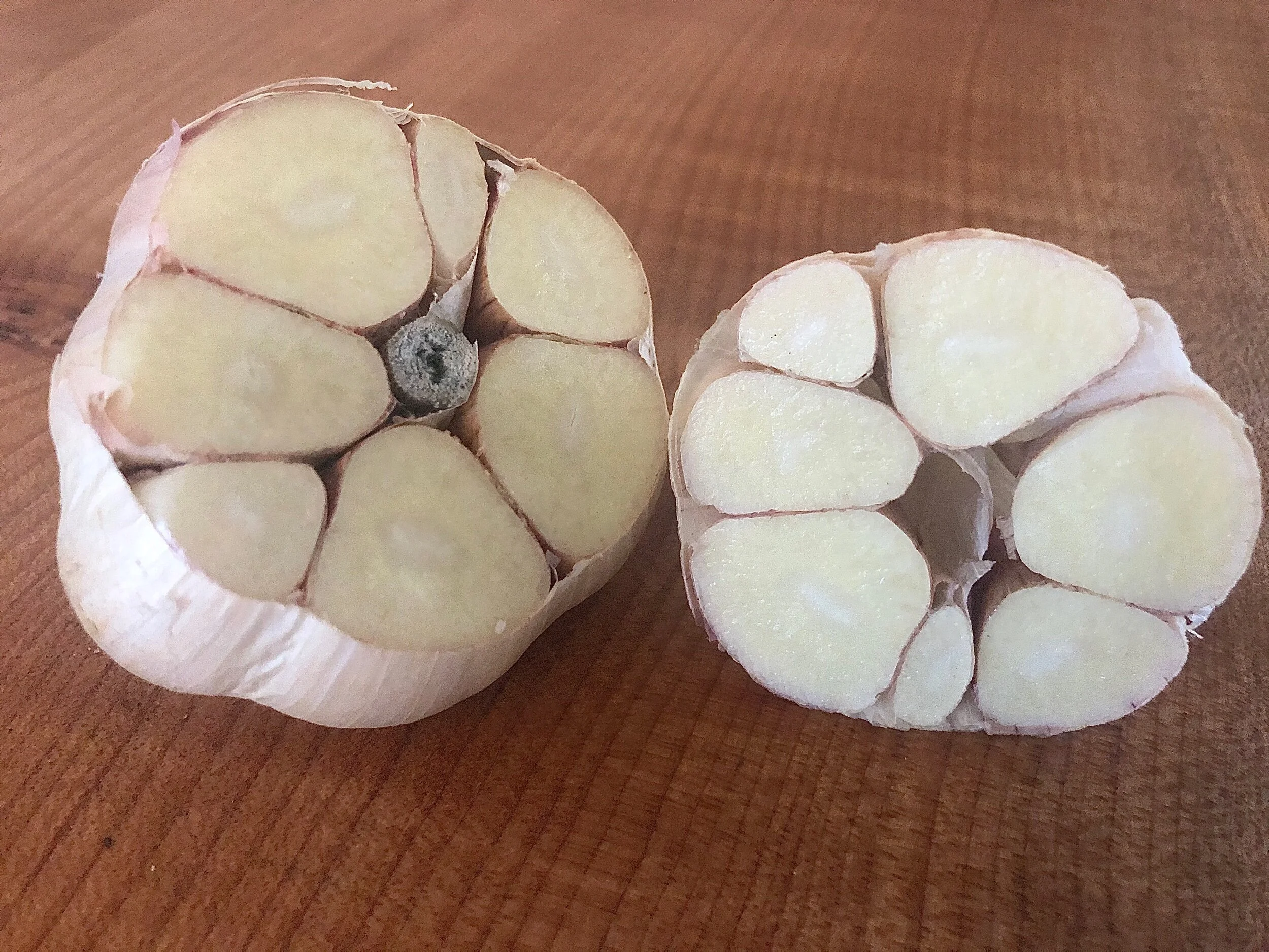 51485C91-D50B-44FF-B132-E7CE181B0FEC