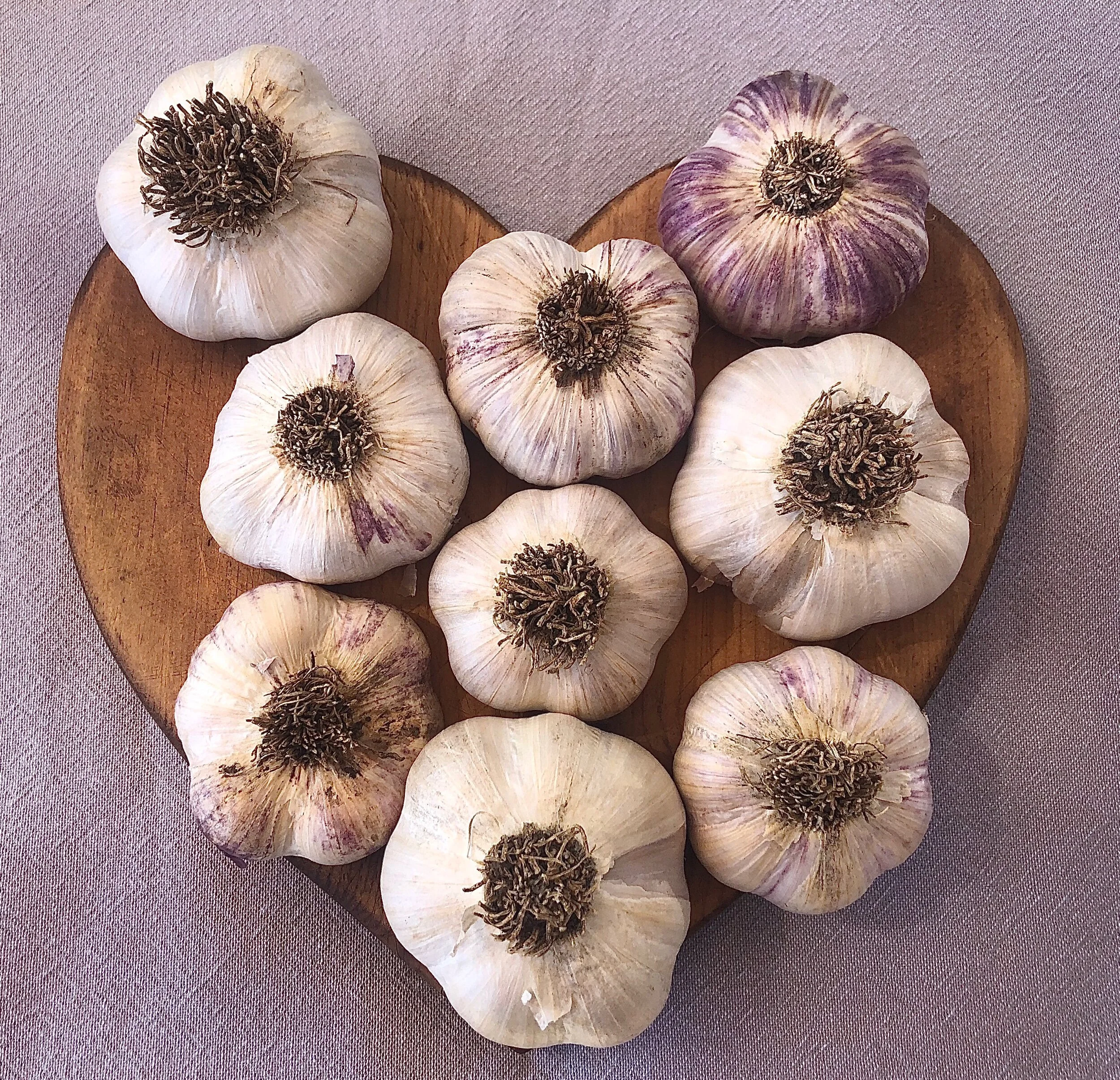 77D2F37A-8C01-4DD4-87E9-4E35ECC2A395