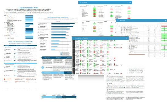Successfinder Reports.png