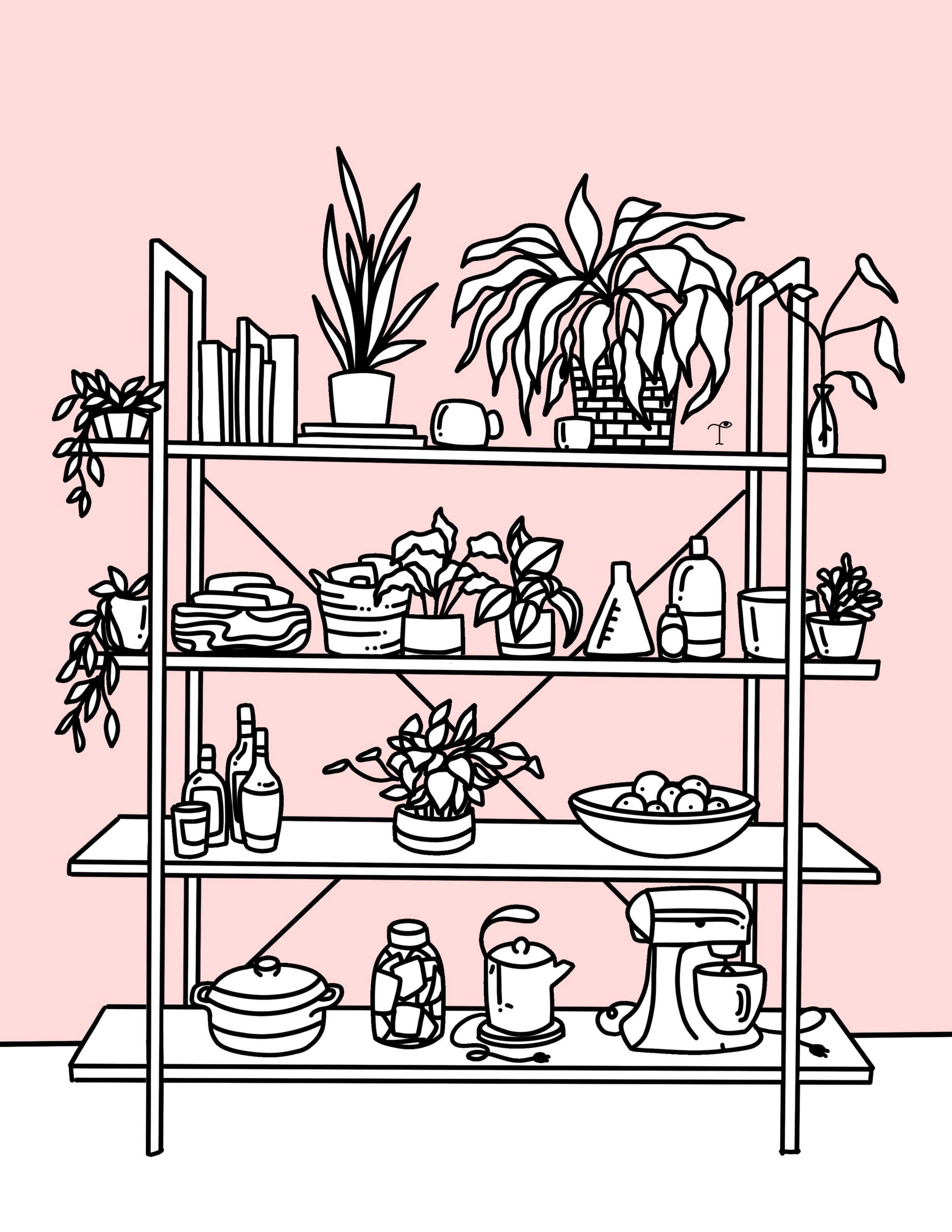 Shelf_pink.PNG