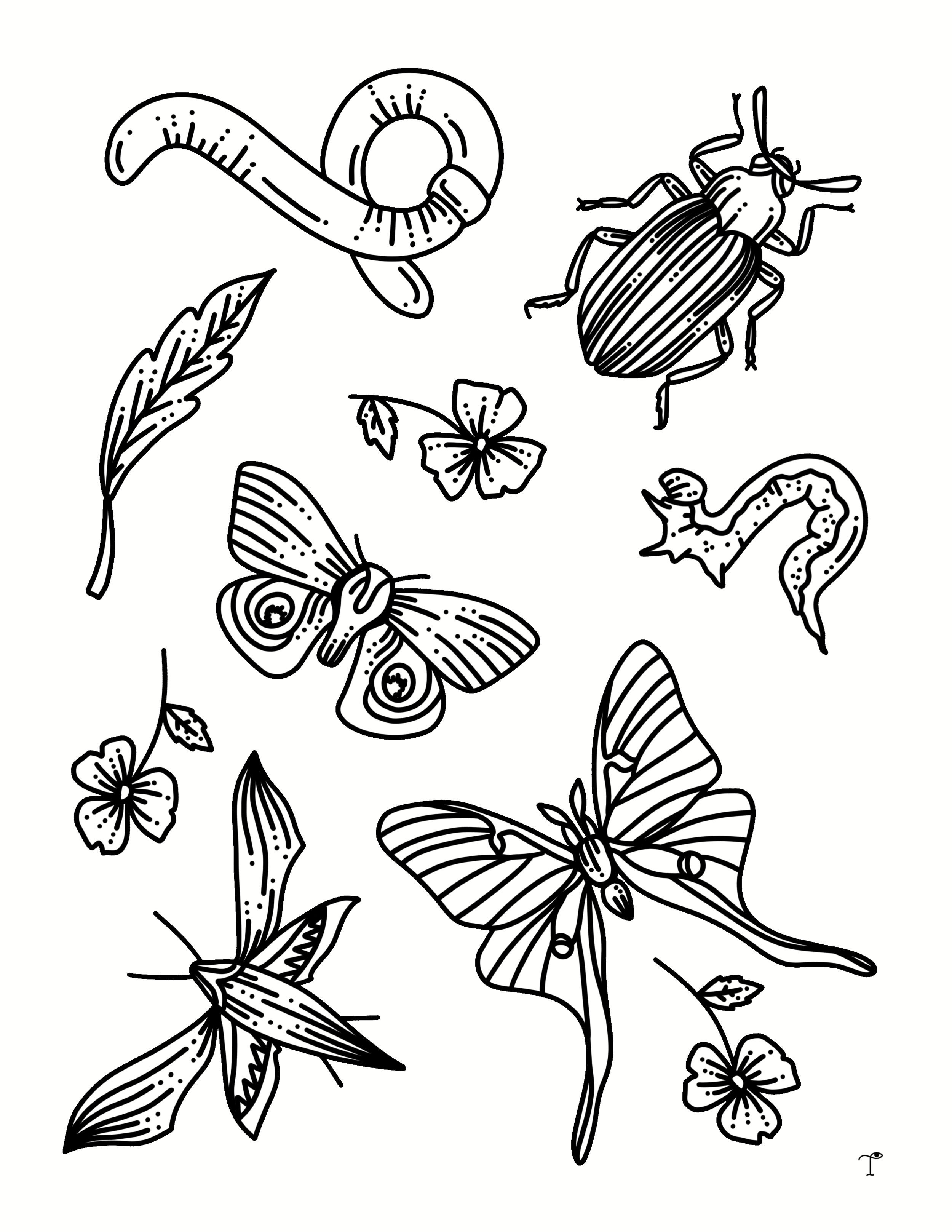 Insects_white.PNG