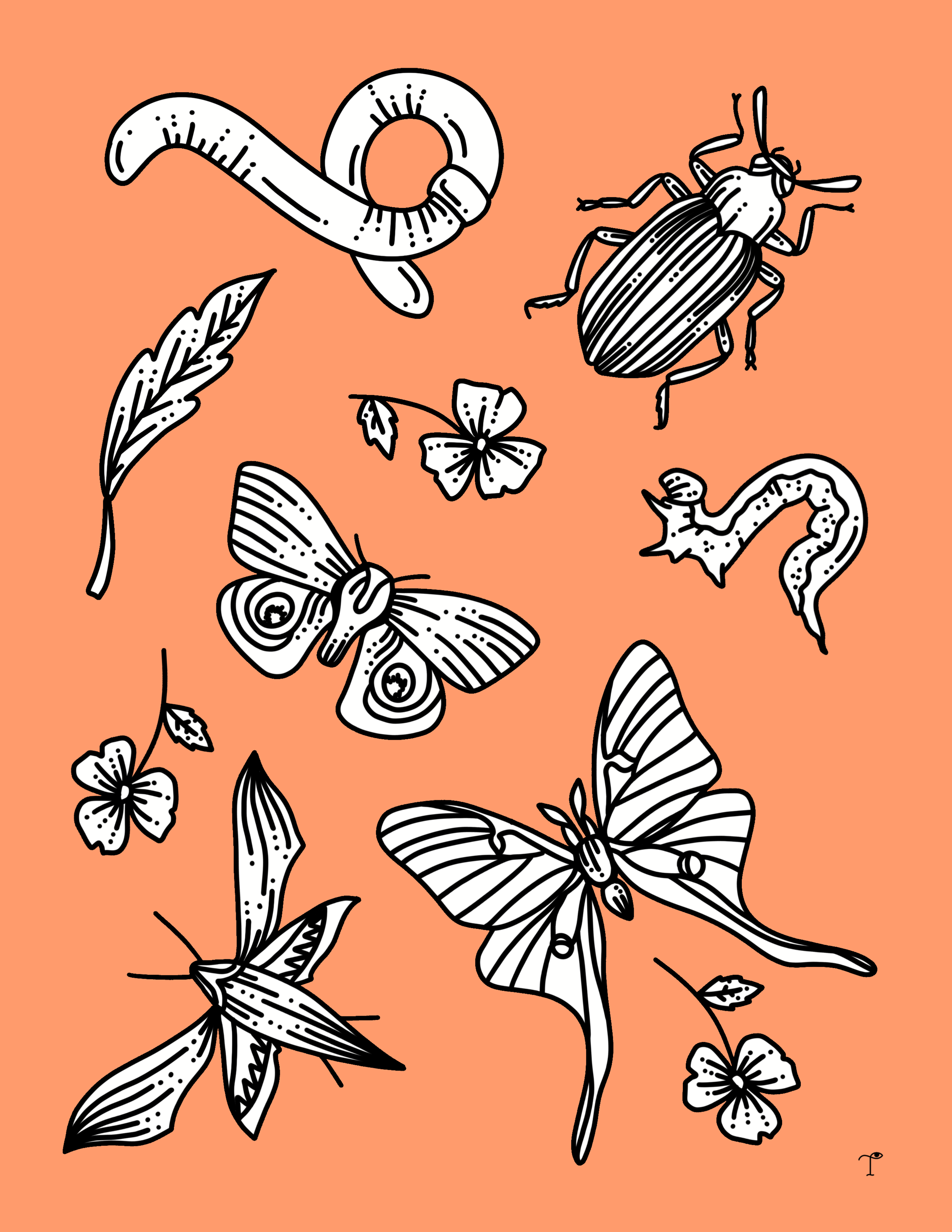 Insects_orange.PNG