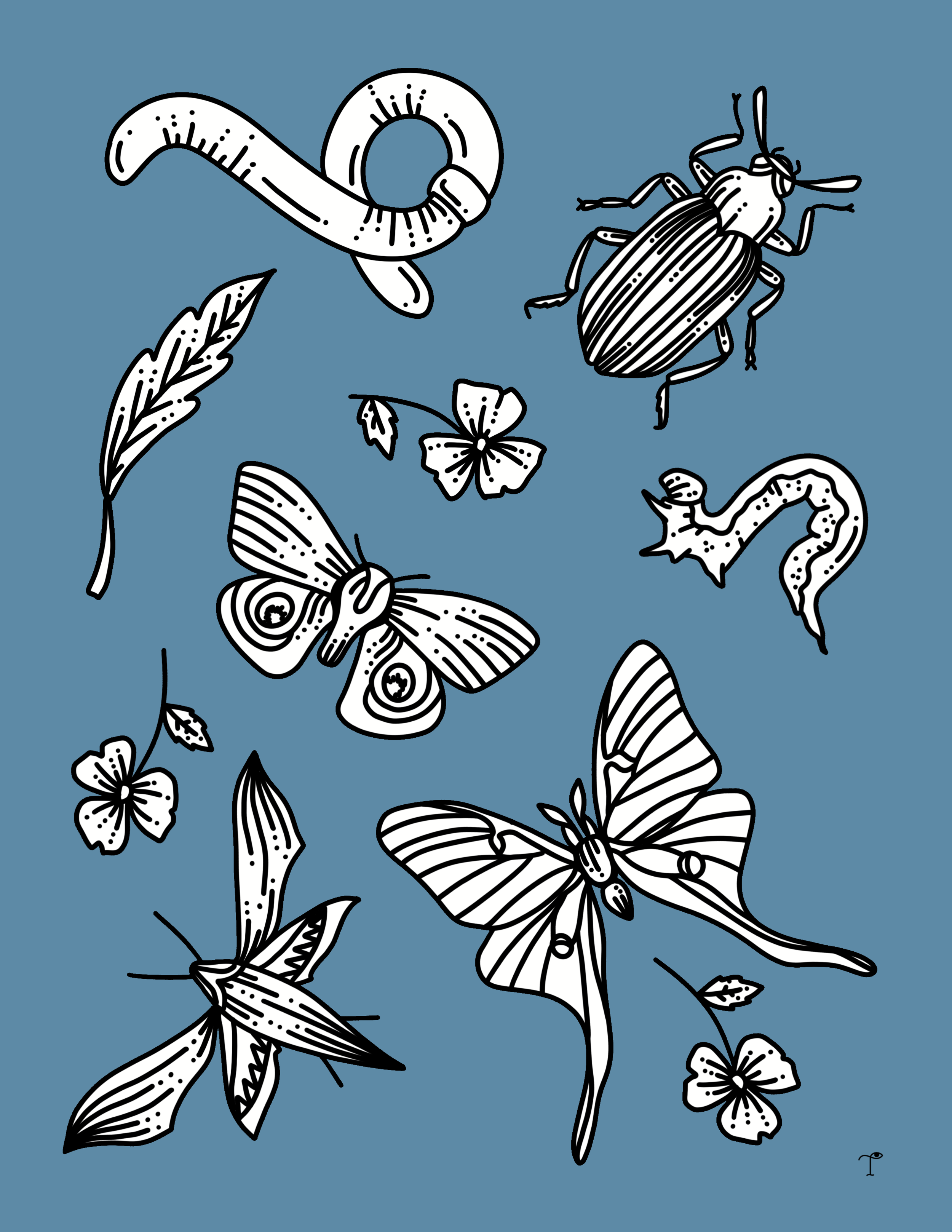 Insects_blue.PNG