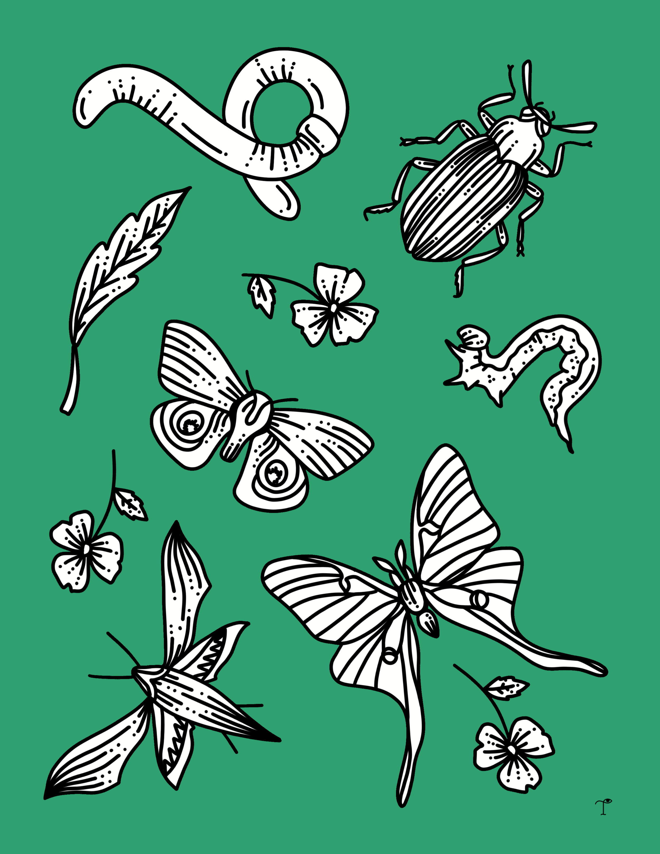 Insects_green.PNG