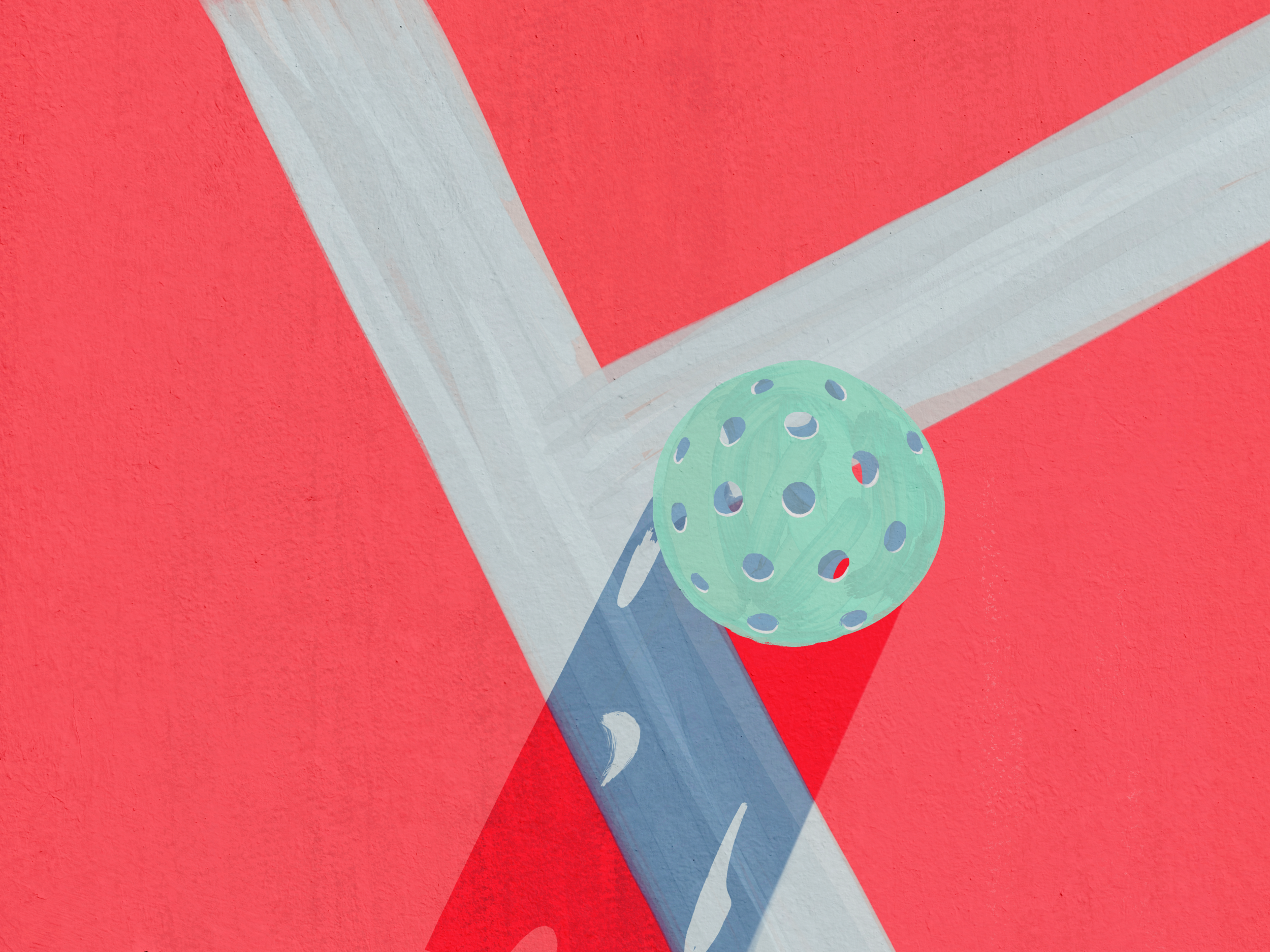 The way the shadows peek through the holes in the pickleball