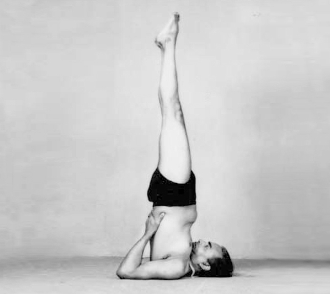 iyengar_sarvangasana.jpg