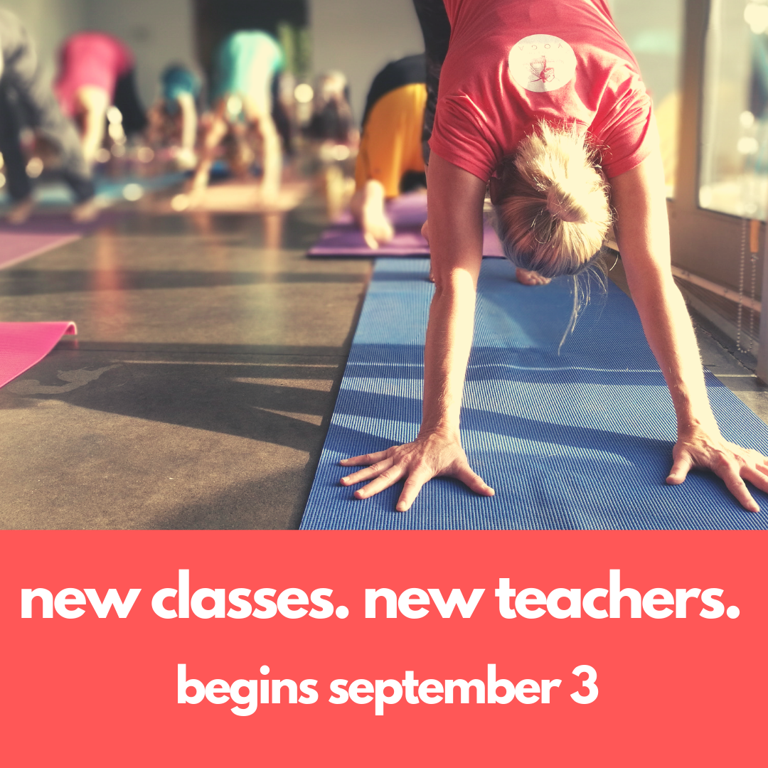 sept advert.png