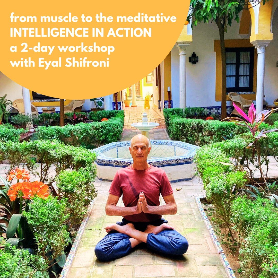 From Muscle to the Meditative: Intelligence in Action with World-Renowned Teacher + Author, Eyal Shifroni

A 2-day workshop with Eyal dedicated to exploring how we can approach the postures beginning with willpower and action and going toward percept