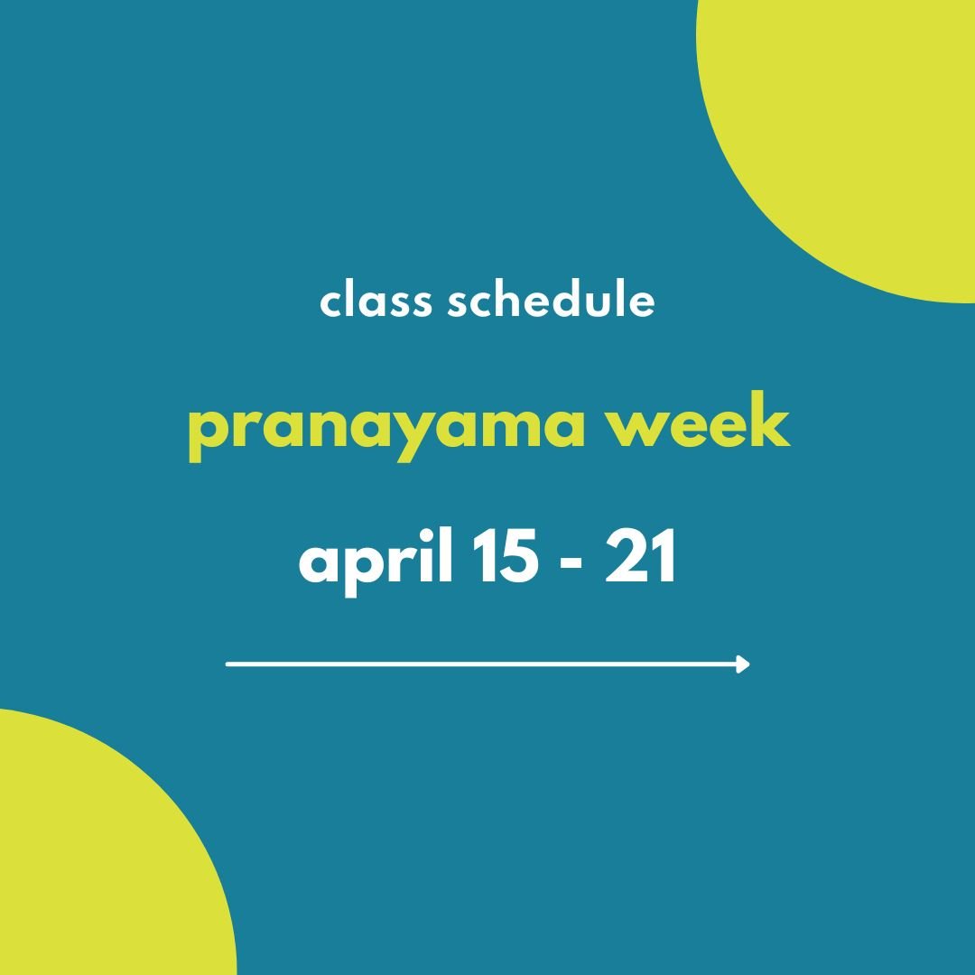 It's Pranayama Week at CIY✨

Join us in person, live online + demand😃

🔗yogayyc.com/schedule or check out the schedule link in bio.

#iyengaryoga #dailyyoga #calgaryyoga #yogayyc #yycliving #yogalove #bksiyengar #calgaryiyengaryoga #yogalife