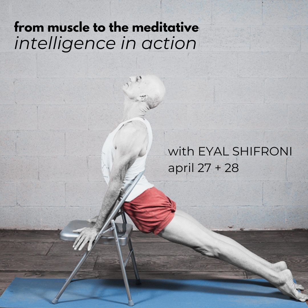 &quot;Each asana has five functions to perform. These are conative, cognitive, mental, intellectual and spiritual.&quot;
- BKS Iyengar

Don't miss this 2-day workshop with world-renowned teacher and author Eyal Shifroni to investigate the functions o