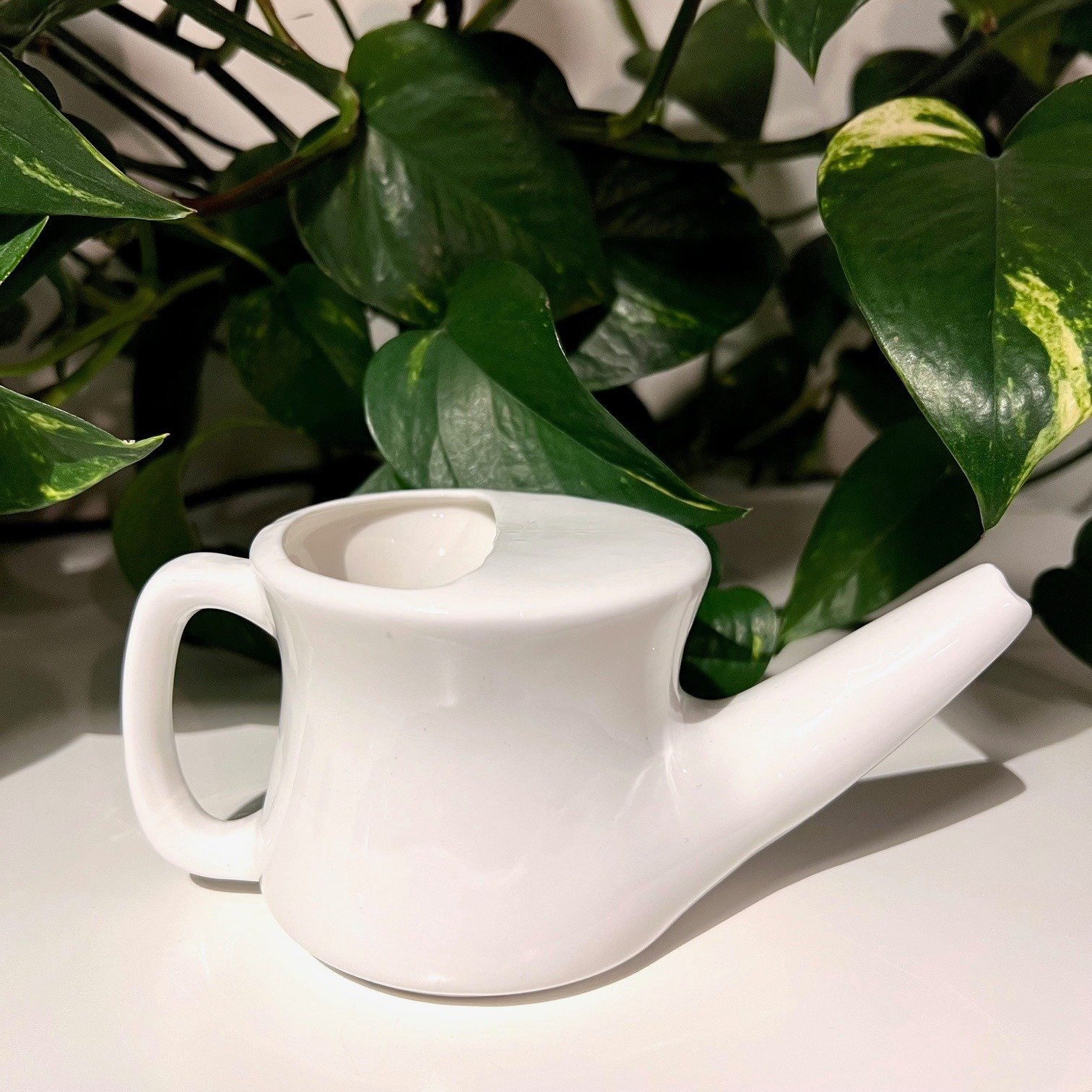 Check out these Neti Pots in Prop Shop✨

The neti pot is used in traditional Ayurvedic therapy to cleanse the nasal passages by gently flushing out allergens and other environmental irritants with a saline solution. (Salt for solution not included.)?