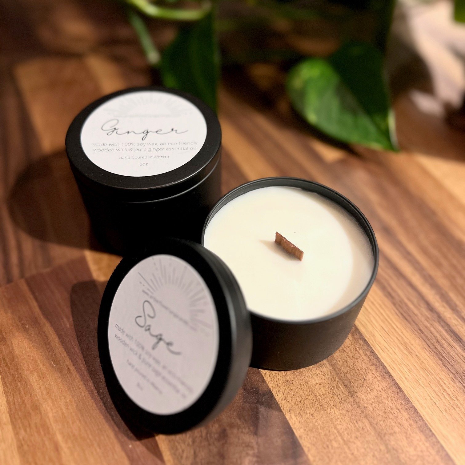 Check out these Non-toxic Soy Wax Candles in Prop Shop✨

These hand-poured soy wax candles are made locally with essential oils. The pooled wax can be used as a hand moisturizer. Burn time of 35-40 hours.🧘

Online + in store at @ciy_houseofyoga. We 