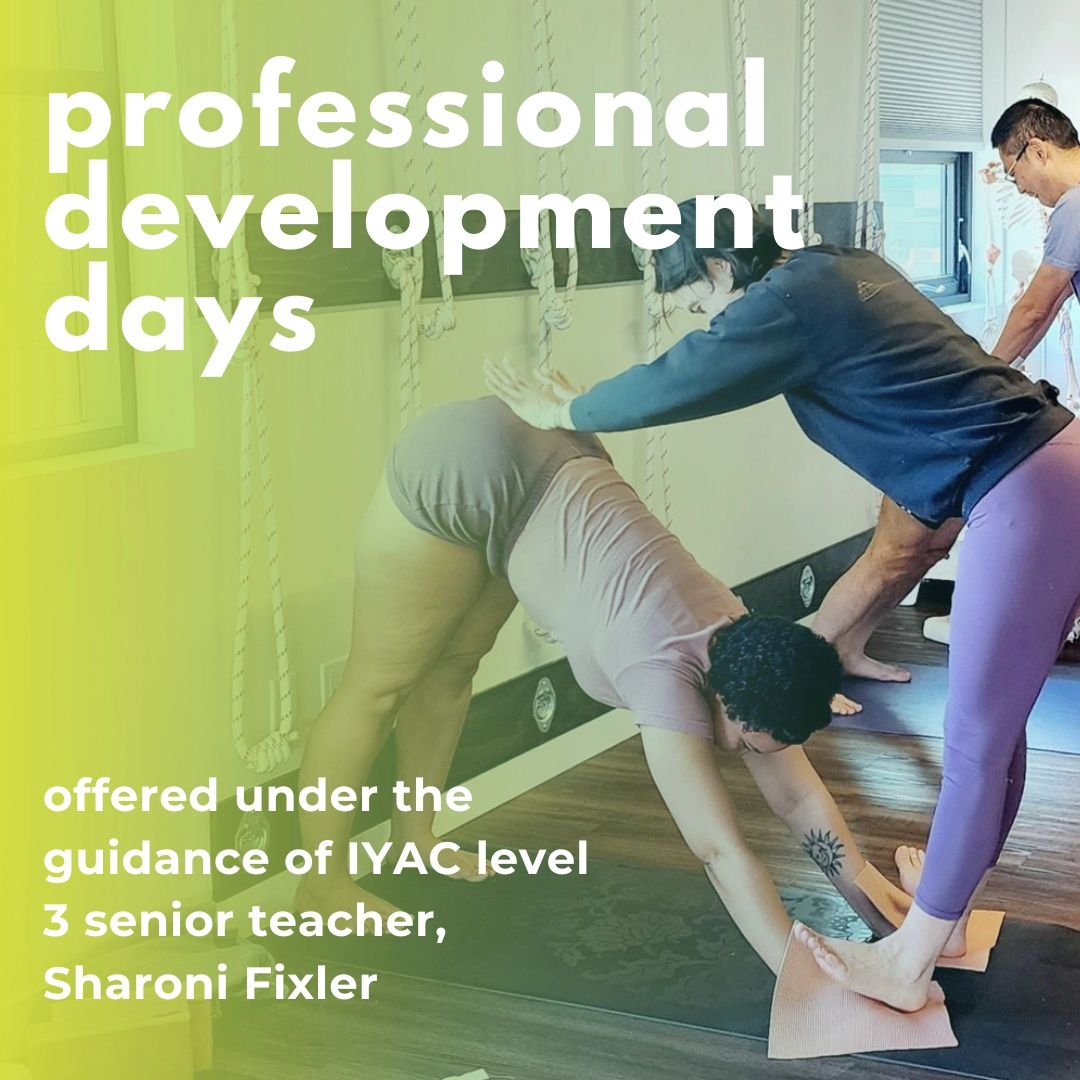 PD Days are an opportunity for teachers, apprentices, students and the wider Iyengar yoga community to come together in learning to explore practice, poses, skills and strategies.

Free for all yoga community.

2024 Dates
➡️ Exploring the Level 3 Syl