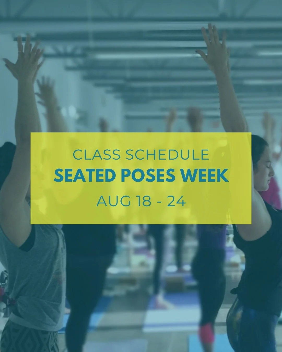 It's Seated Poses Week✨
Join us in person, live online + on demand😃

🔗yogayyc.com/schedule or check out the schedule link in bio.

#iyengaryoga #dailyyoga #calgaryyoga #yogayyc #yycliving #yogalove #bksiyengar #calgaryiyengaryoga #yogalifestyles