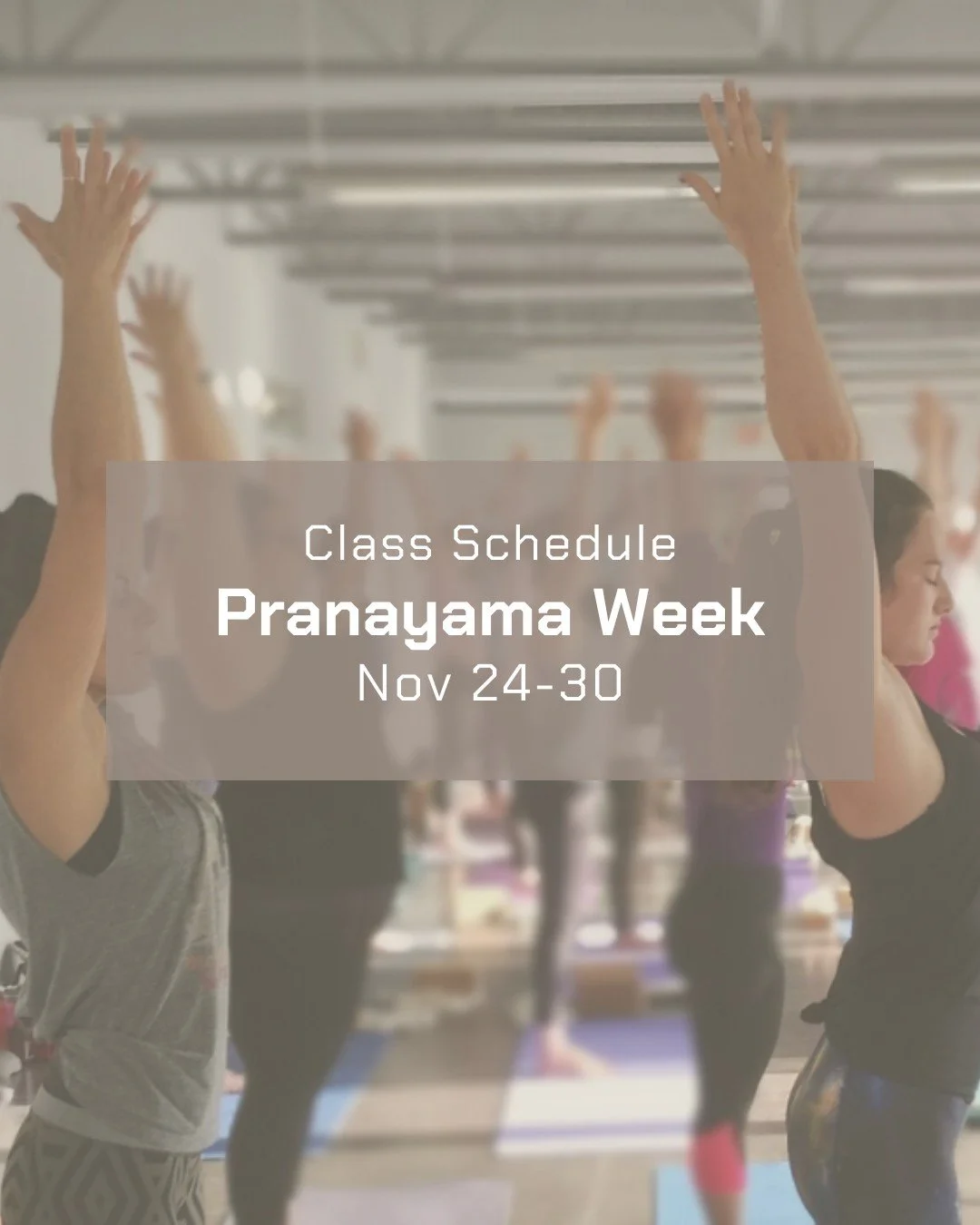 It's Pranayama Week✨
Join us in person, live online + on demand😃

🔗yogayyc.com/schedule or check out the schedule link in bio.

#iyengaryoga #dailyyoga #calgaryyoga #yogayyc #yycliving #yogalove #bksiyengar #calgaryiyengaryoga #yogalifestylestudio
