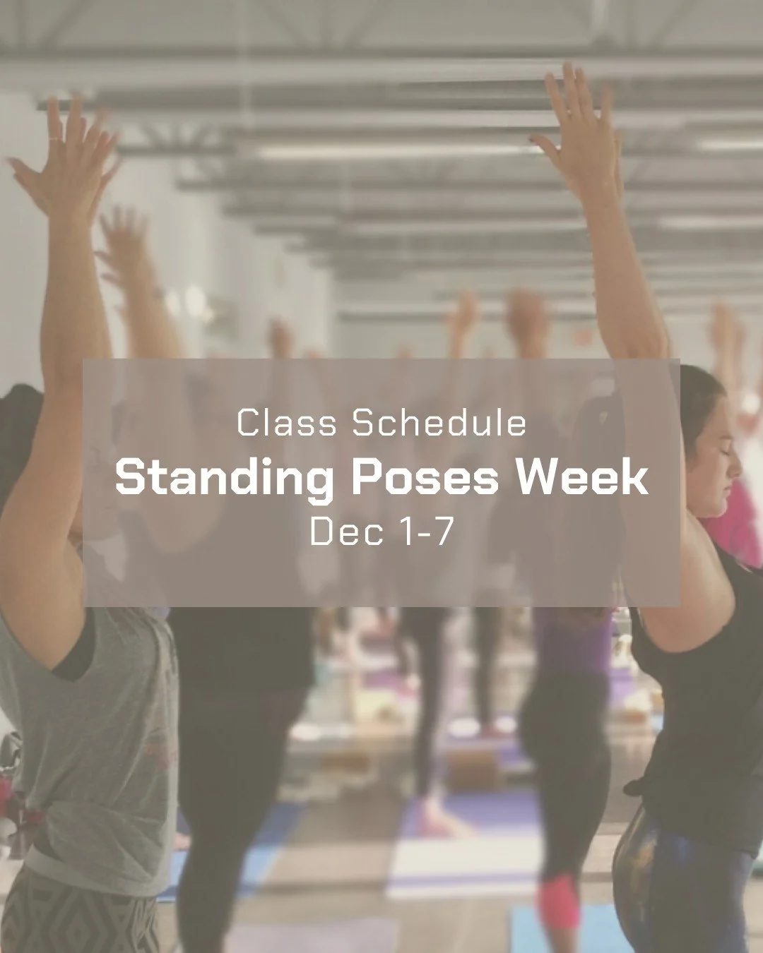 It's Standing Poses Week✨
Join us in person, live online + on demand 😃

🔗yogayyc.com/schedule or check out the schedule link in bio.

#iyengaryoga #dailyyoga #calgaryyoga #yogayyc #yycliving #yogalove #bksiyengar #calgaryiyengaryoga #yogalifestyles