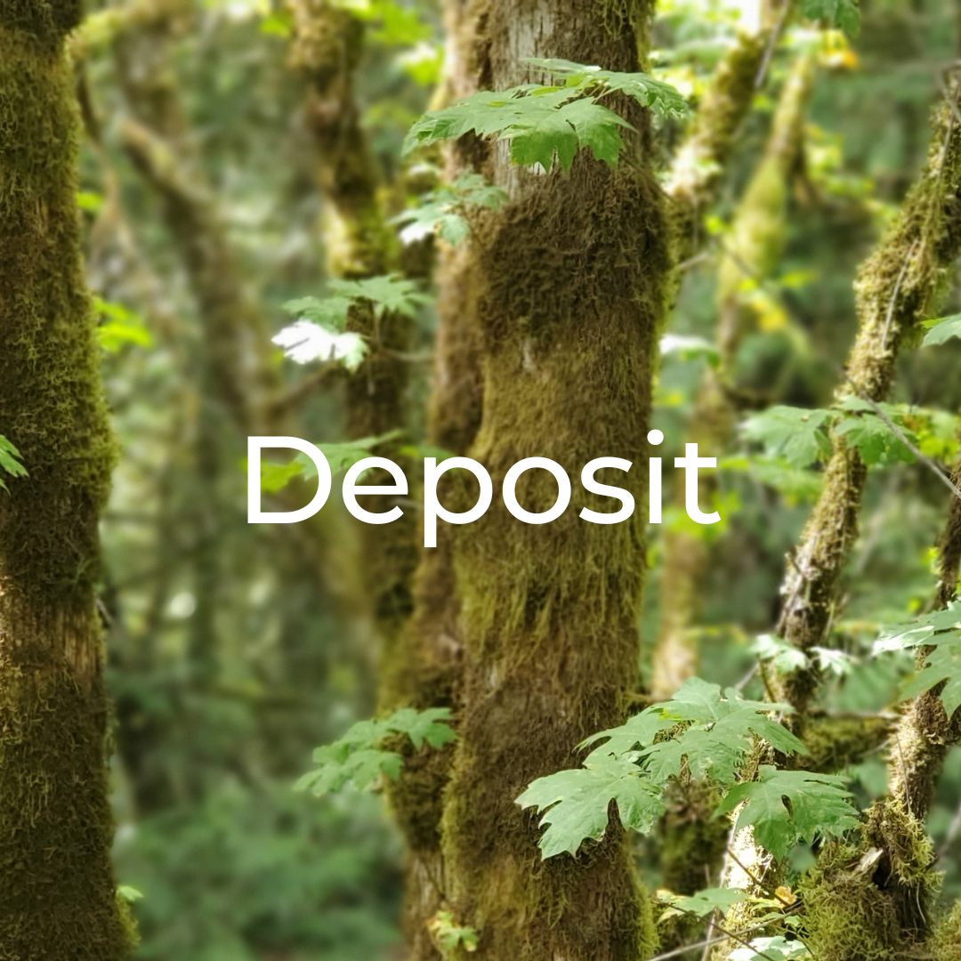 West Coast Retreat Intensive | Deposit