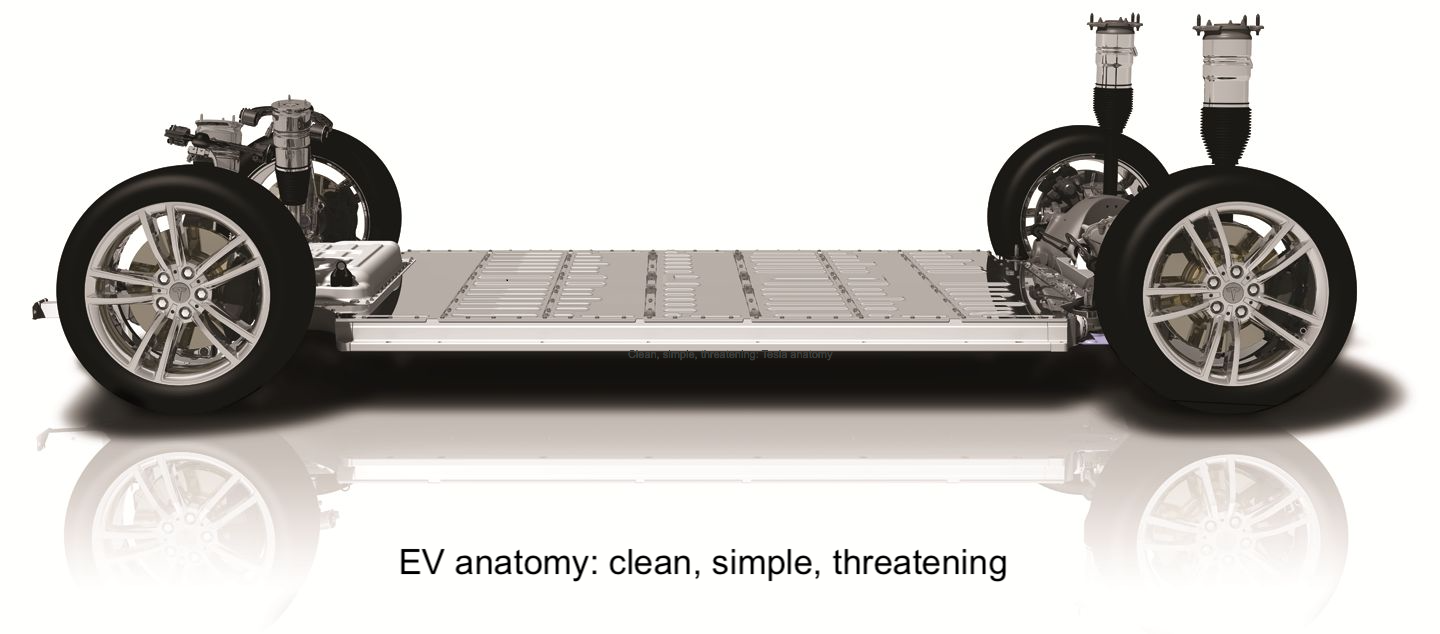 Tesla anatomy.png