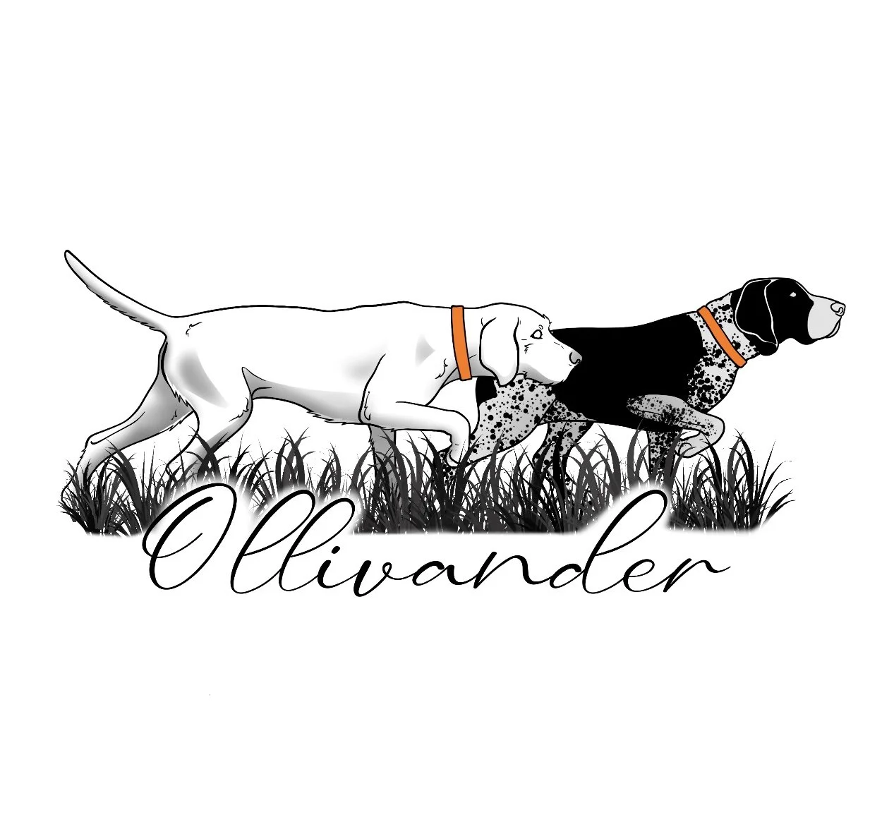 Ollivander Kennels