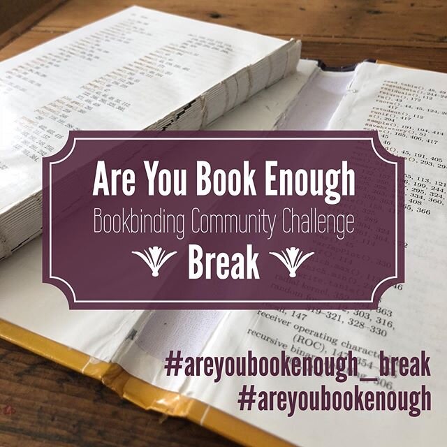 Apparently I&rsquo;m about to break under the strain of quarantine. If you saw my post about the theme being human, I apologize. I had a bit of a brain fart. The theme for this month&rsquo;s #areyoubookenough challenge is BREAK. To learn more about t
