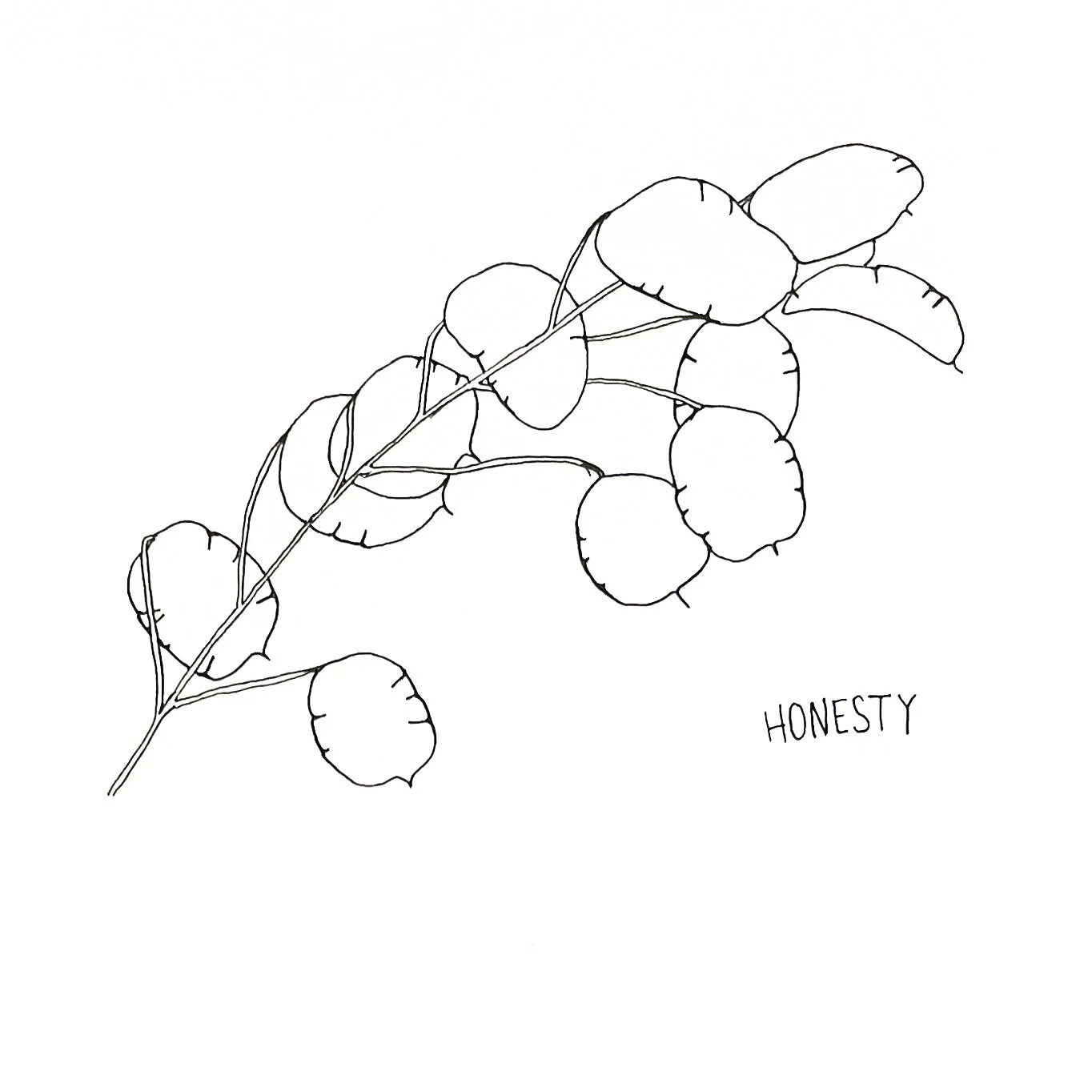 A1F36861-EDAF-47ED-8ECE-DBA16BF65AFE