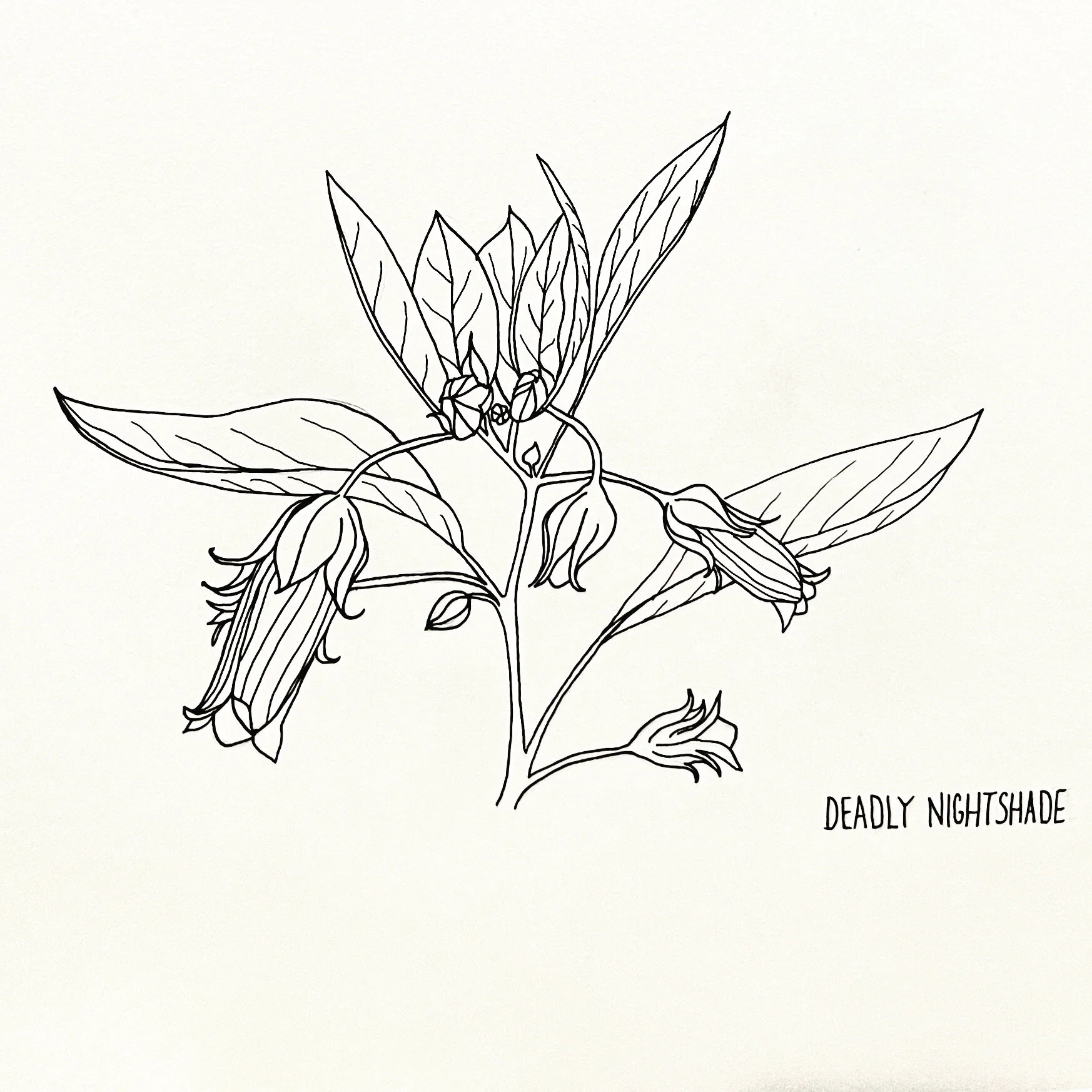 DF6FF4BB-39DB-4E2D-AC94-FF8473A27C5B