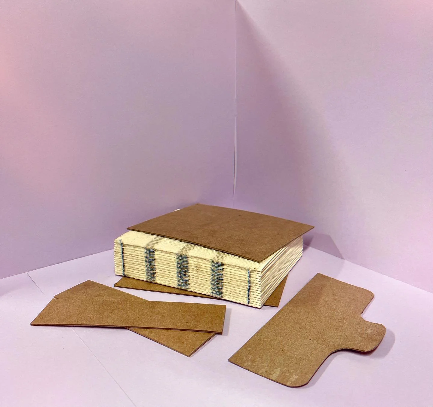 Some works in progress from around the studio&hellip;

#bookartists #bookartscollective #communityartspace #seattleprintarts #seattlebookarts #bookbindings #bookbinder #paperarts #papermach&egrave; #papermache #printmaking #booksbooksbooks #bookartsa
