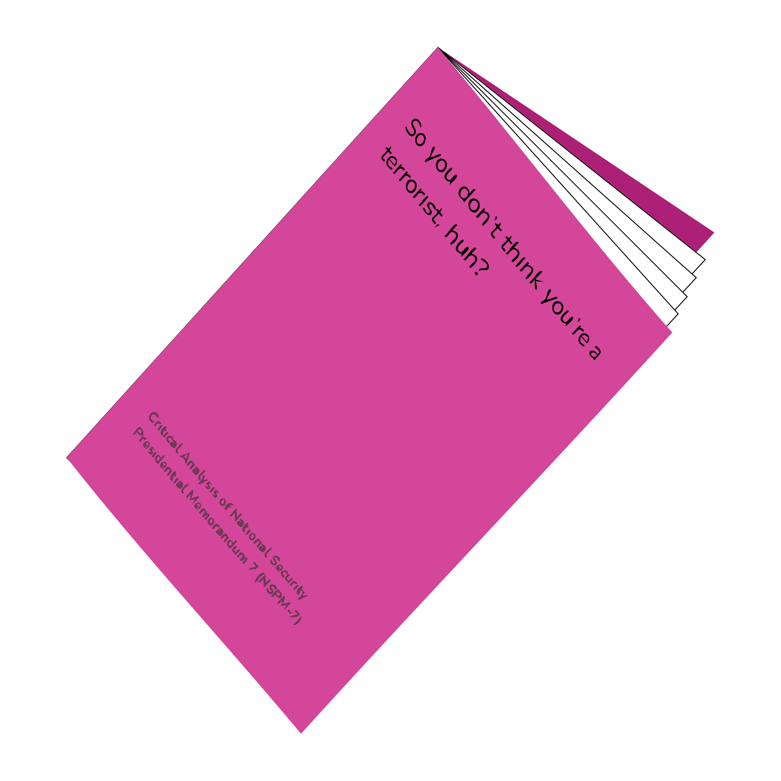 So You Don't Think You're a Terrorist, Huh? Zine