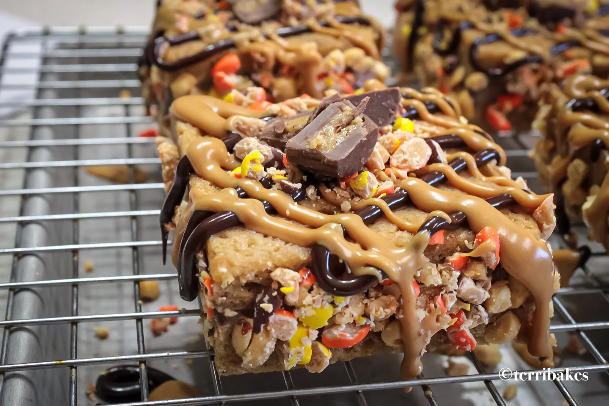 Peanut Butter Cookie Chocolate Ice Cream Sandwiches