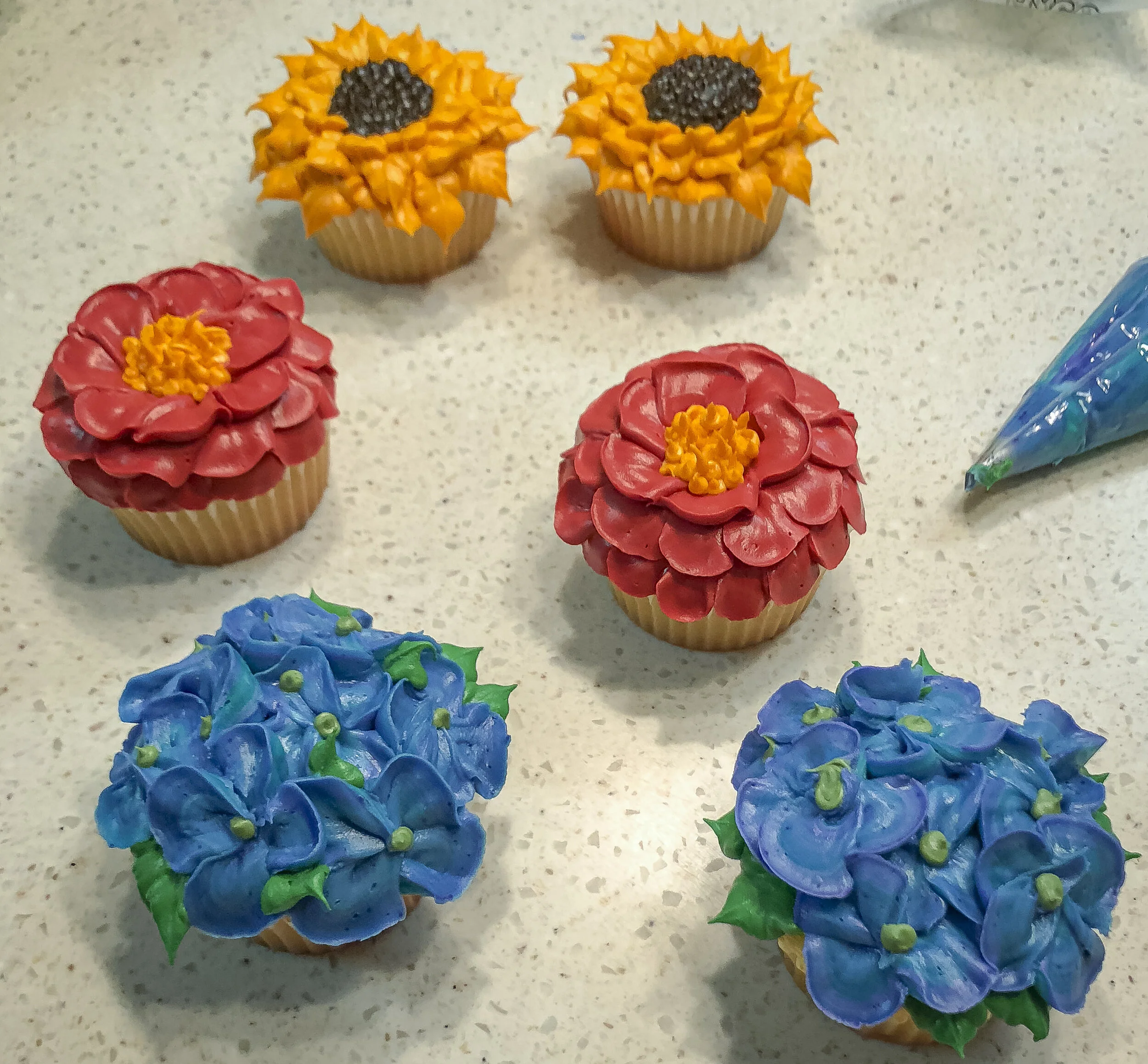 image_6487327 (1).JPG