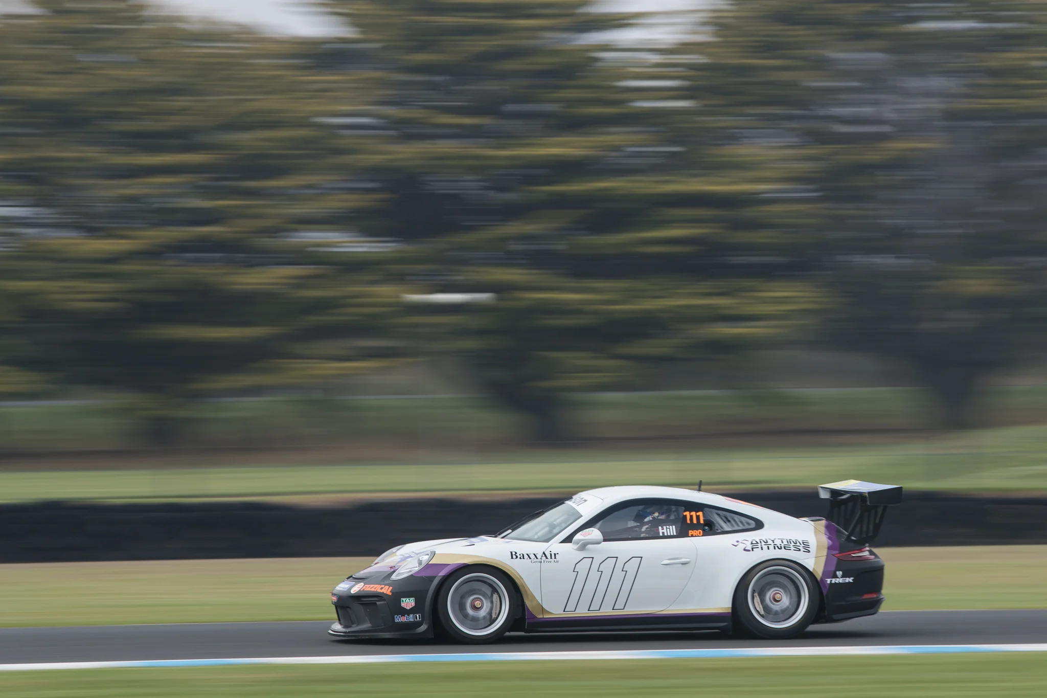 VASC-PI-CamHill-003.jpg