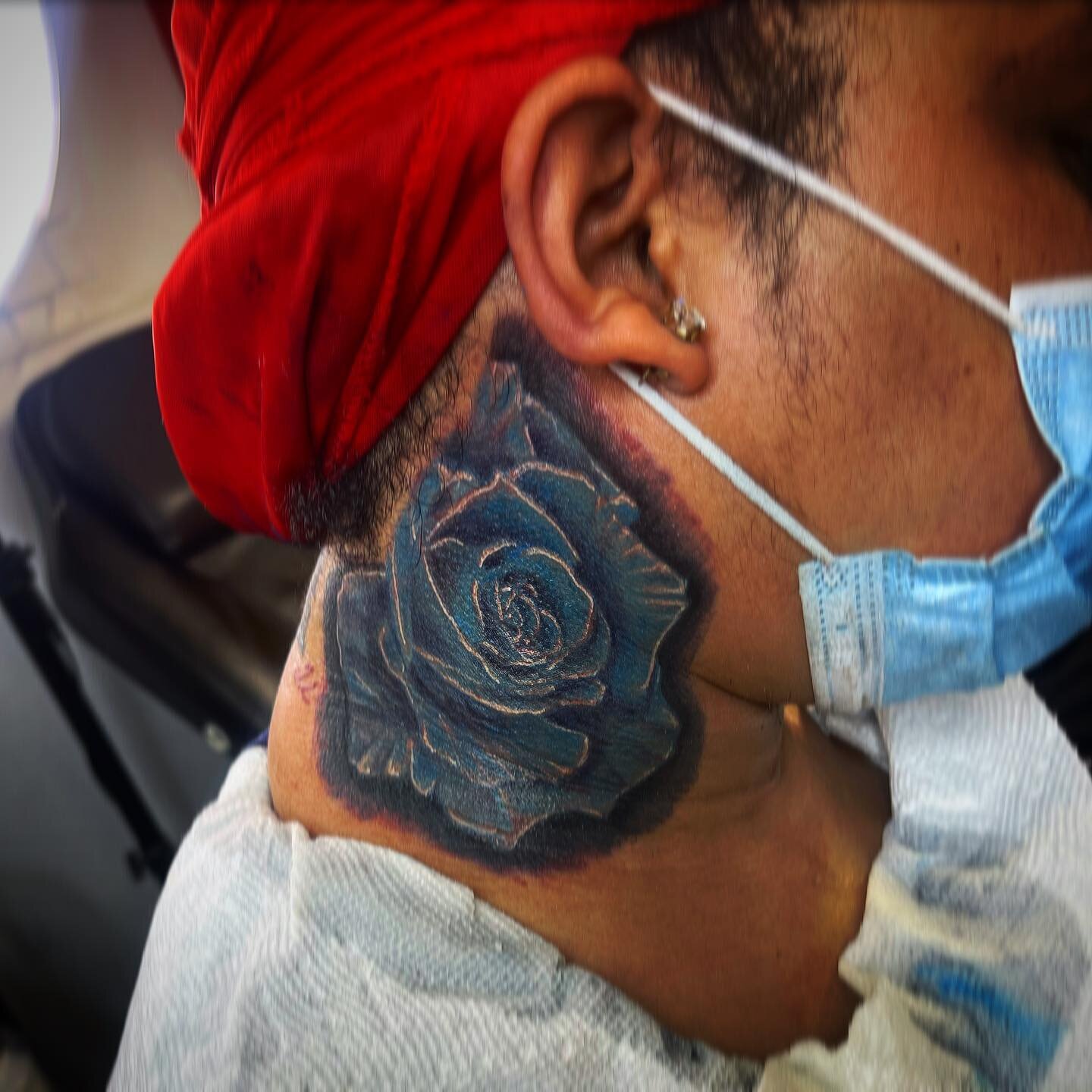 Blue rose