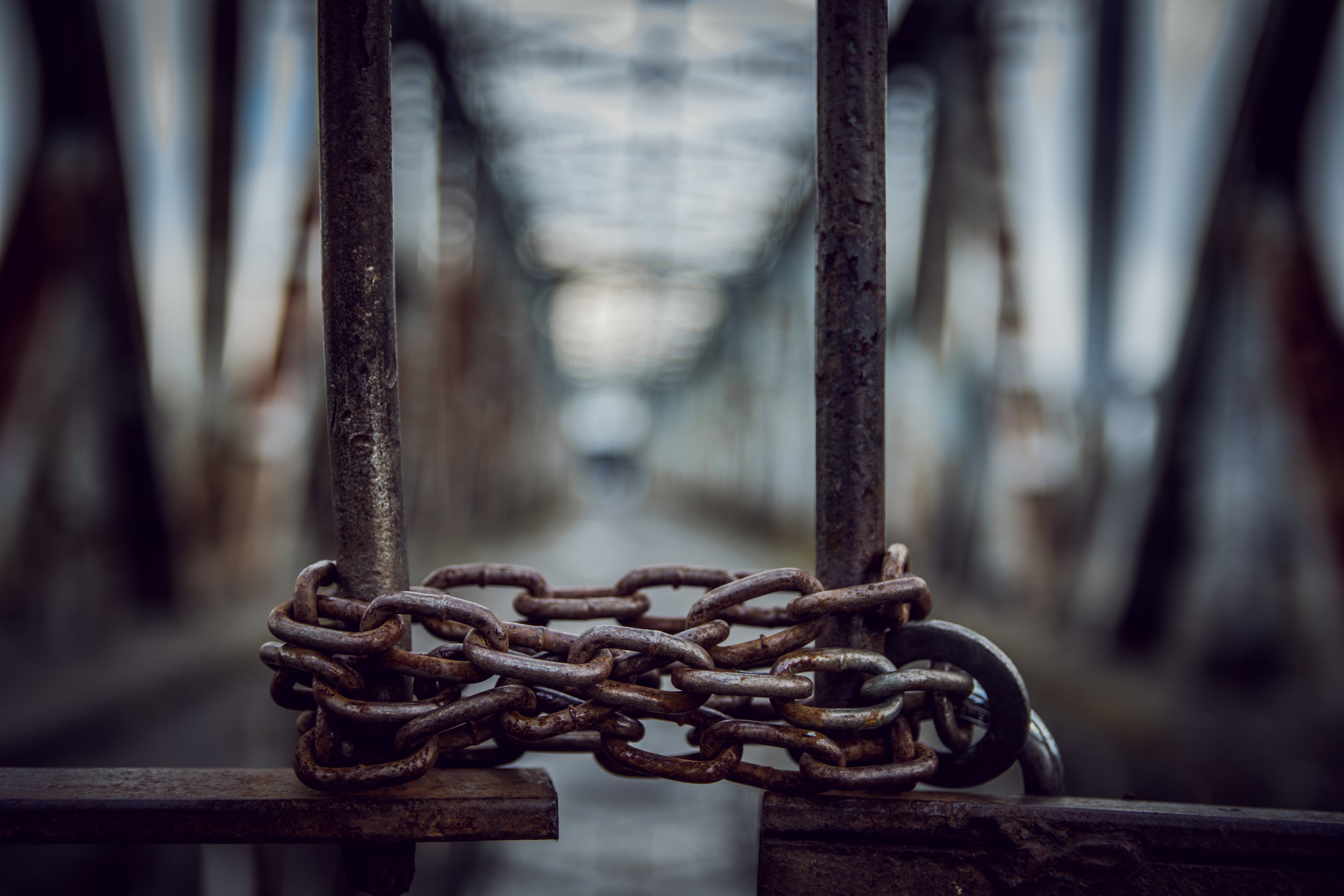 AdobeStock_139988839.jpeg