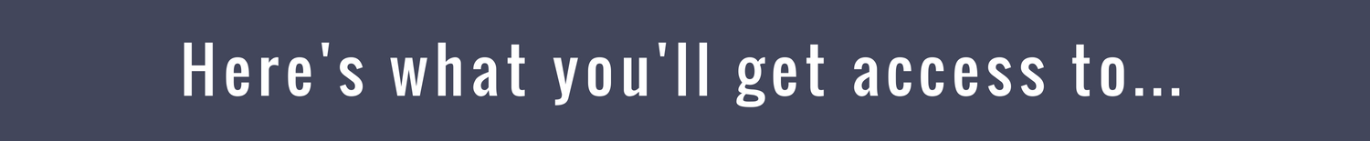 Launch1_website image_heres what youll get access to_steelpurpleback.png