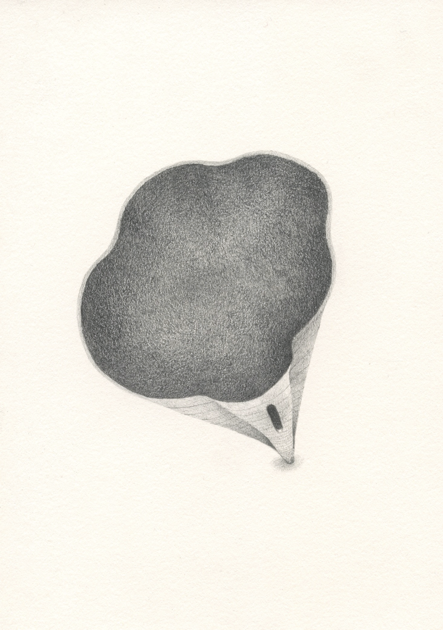 Thought_form3_5x7_2018.png