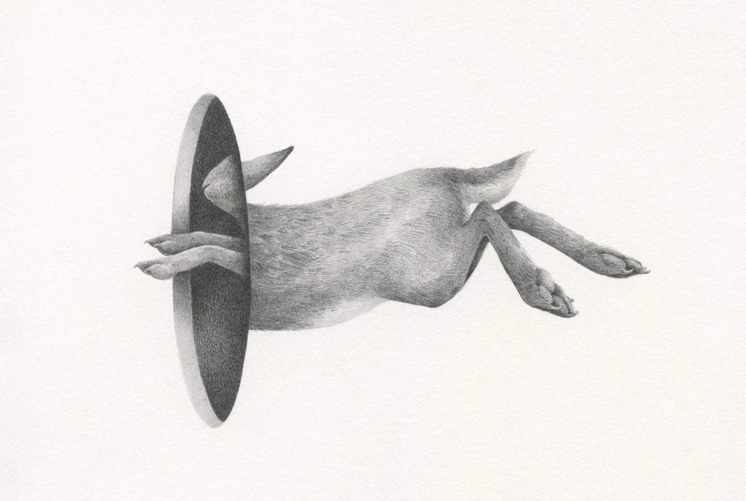 Lapse, 2019 8 x 7” Graphite on paper