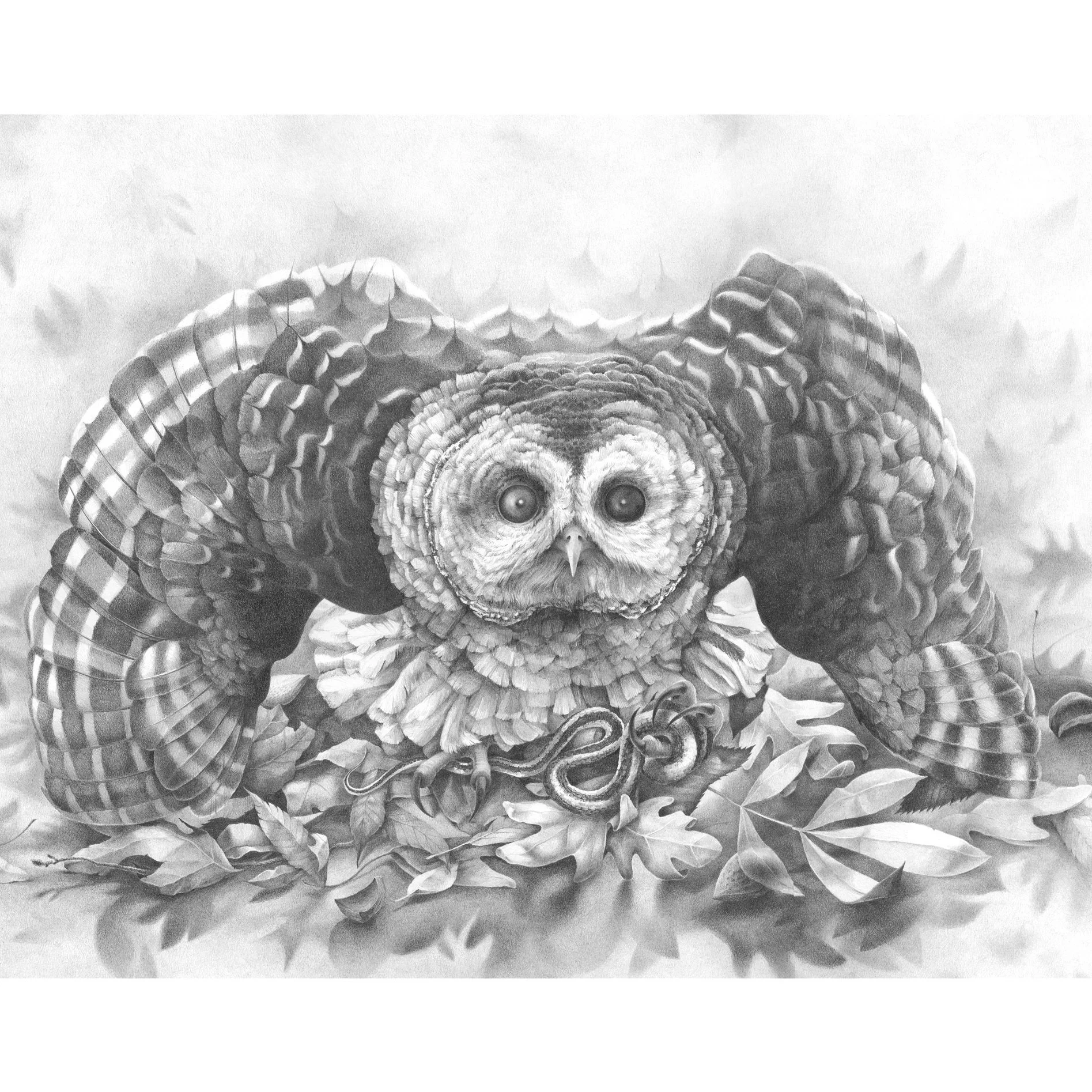 TheOmen_2022__sq.jpg