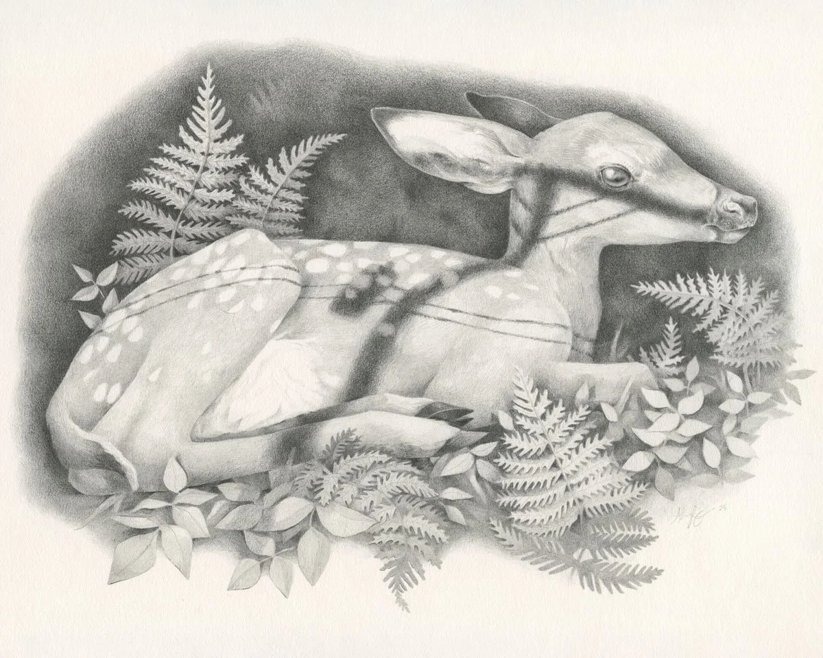 Fawn (2025)