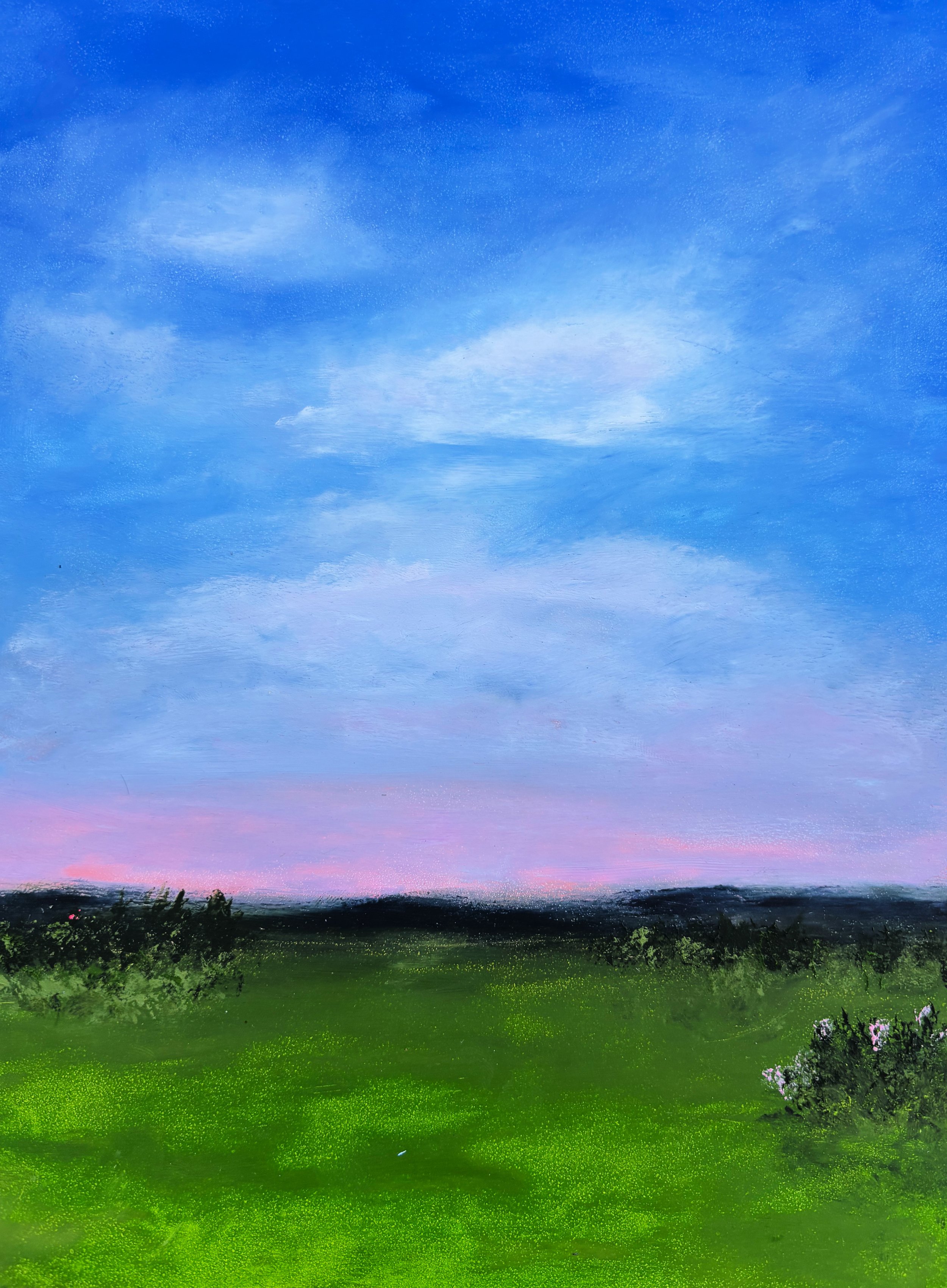 Pink Horizon