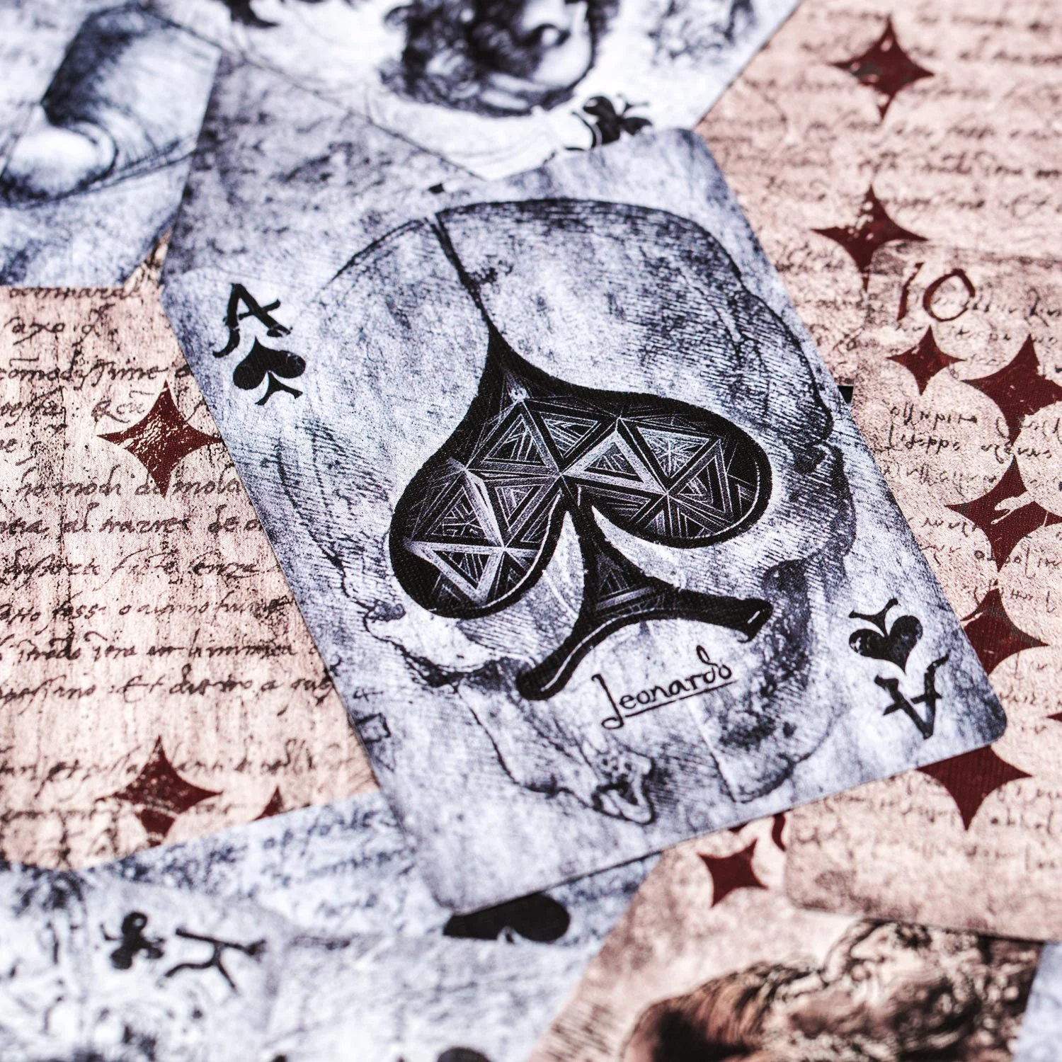 Leonardo-MMXVIII-Silver-09.jpg