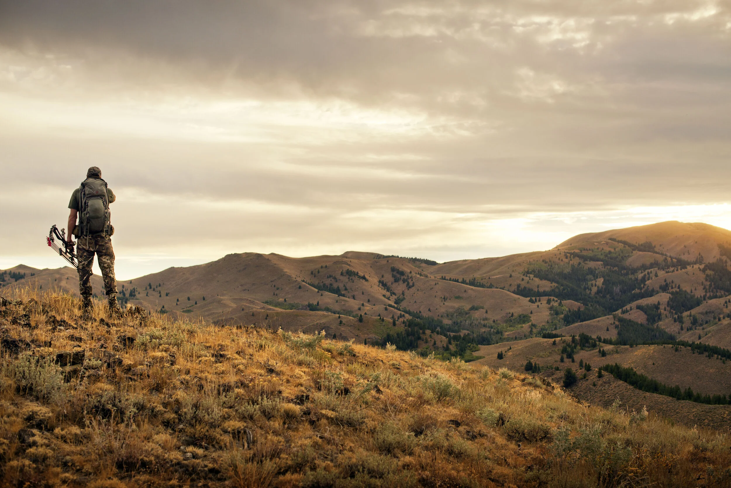 _DSC3054.jpg