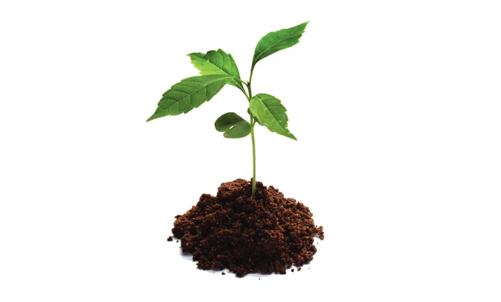 youthseedmoney_header.jpg